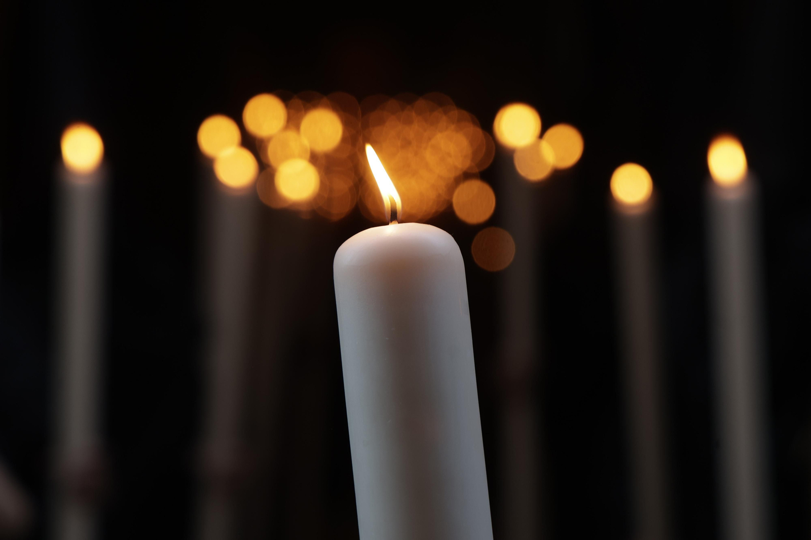 Las imágenes de San Isidoro