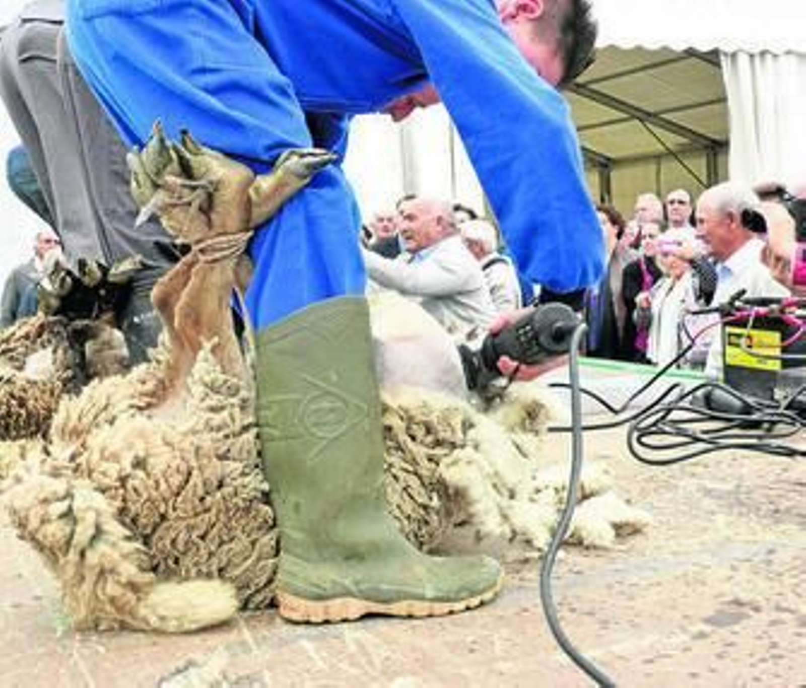 La última feria del ganado de Loja acogió una demostración de esquilado.