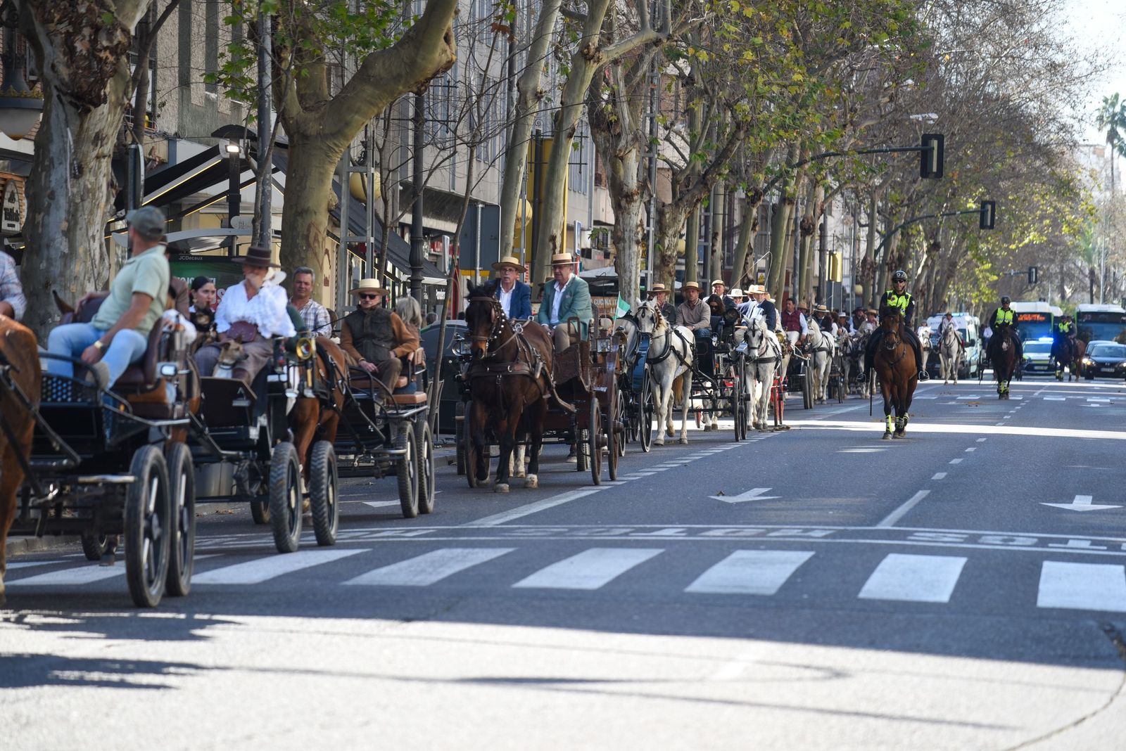 Las mejores imágenes de la Marcha Hípica Córdoba a Caballo del 28F de 2026