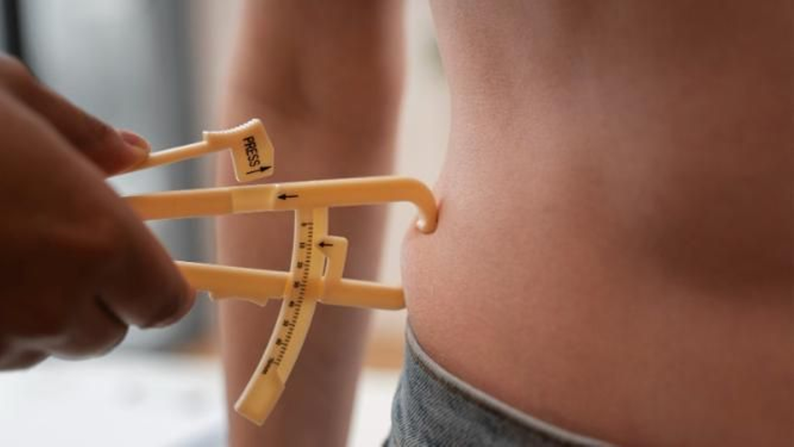 Los obesógenos ayudan a engordar aunque hagas dieta y deporte.