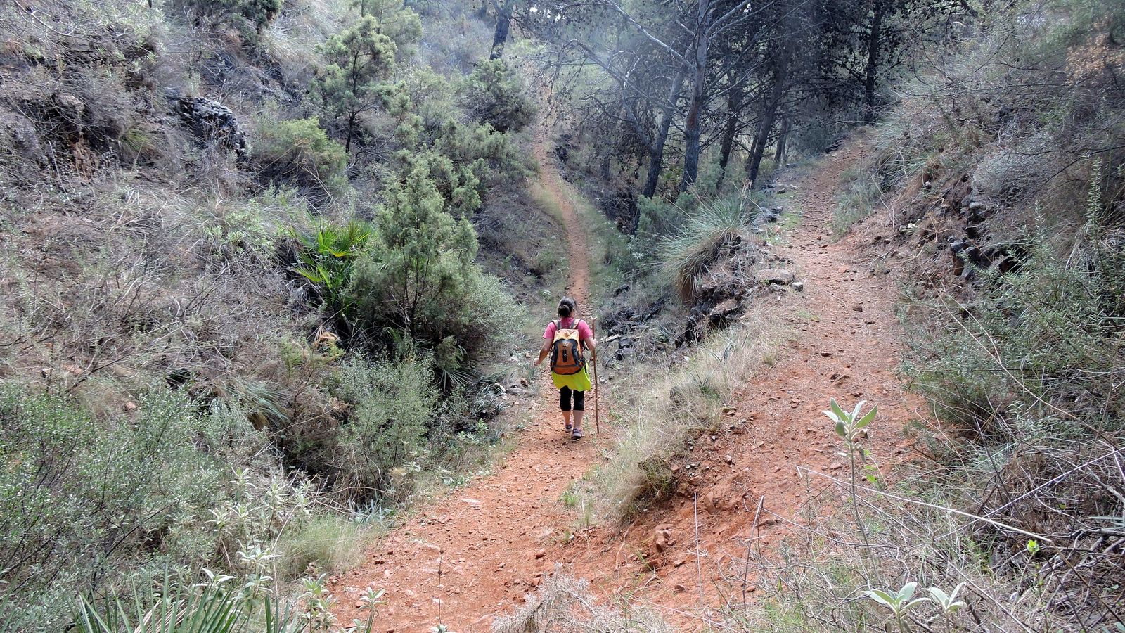 Curvas de la vereda en la Sierra de Mijas. Curvas de la vereda en la Sierra de Mijas.