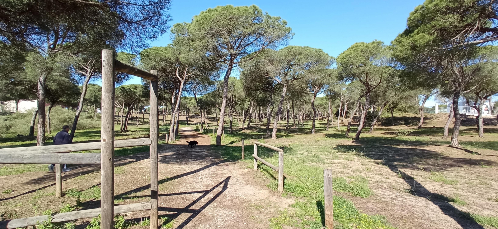 Las imágenes de la ruta de las salinas del Astur y los pinares de Punta Umbría