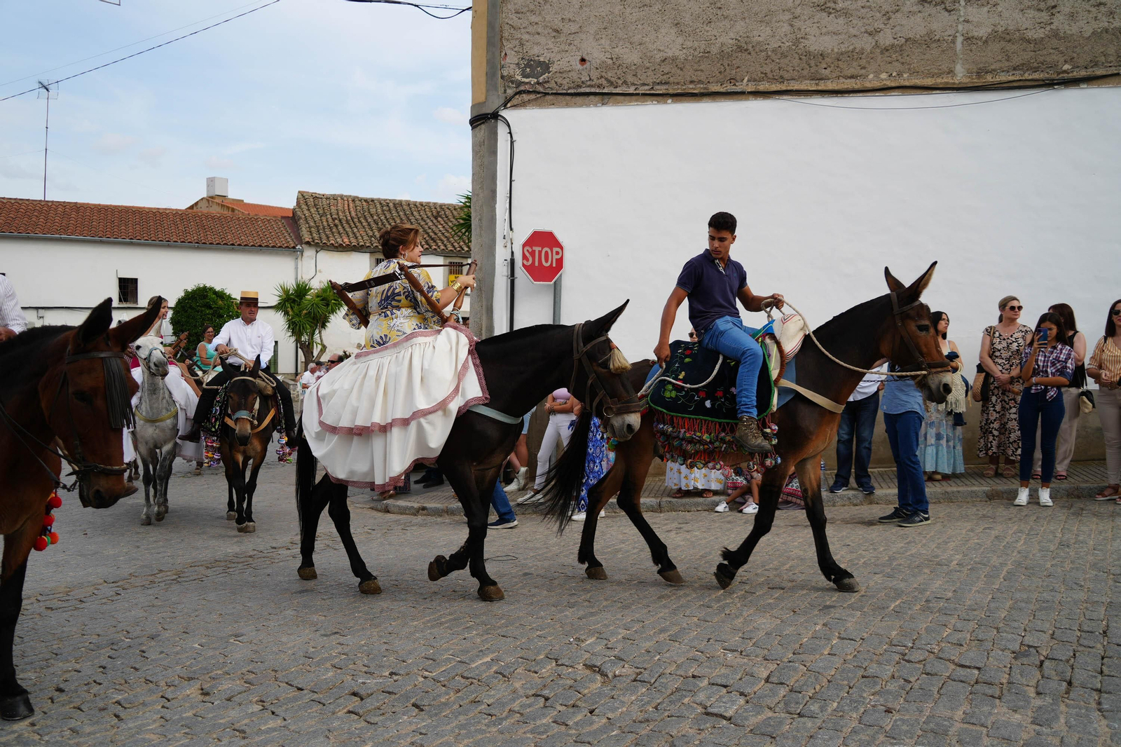 Las mejores imágenes de la Fiesta de los Piostros de Pedroche, la mayor concentración equina de Andalucía