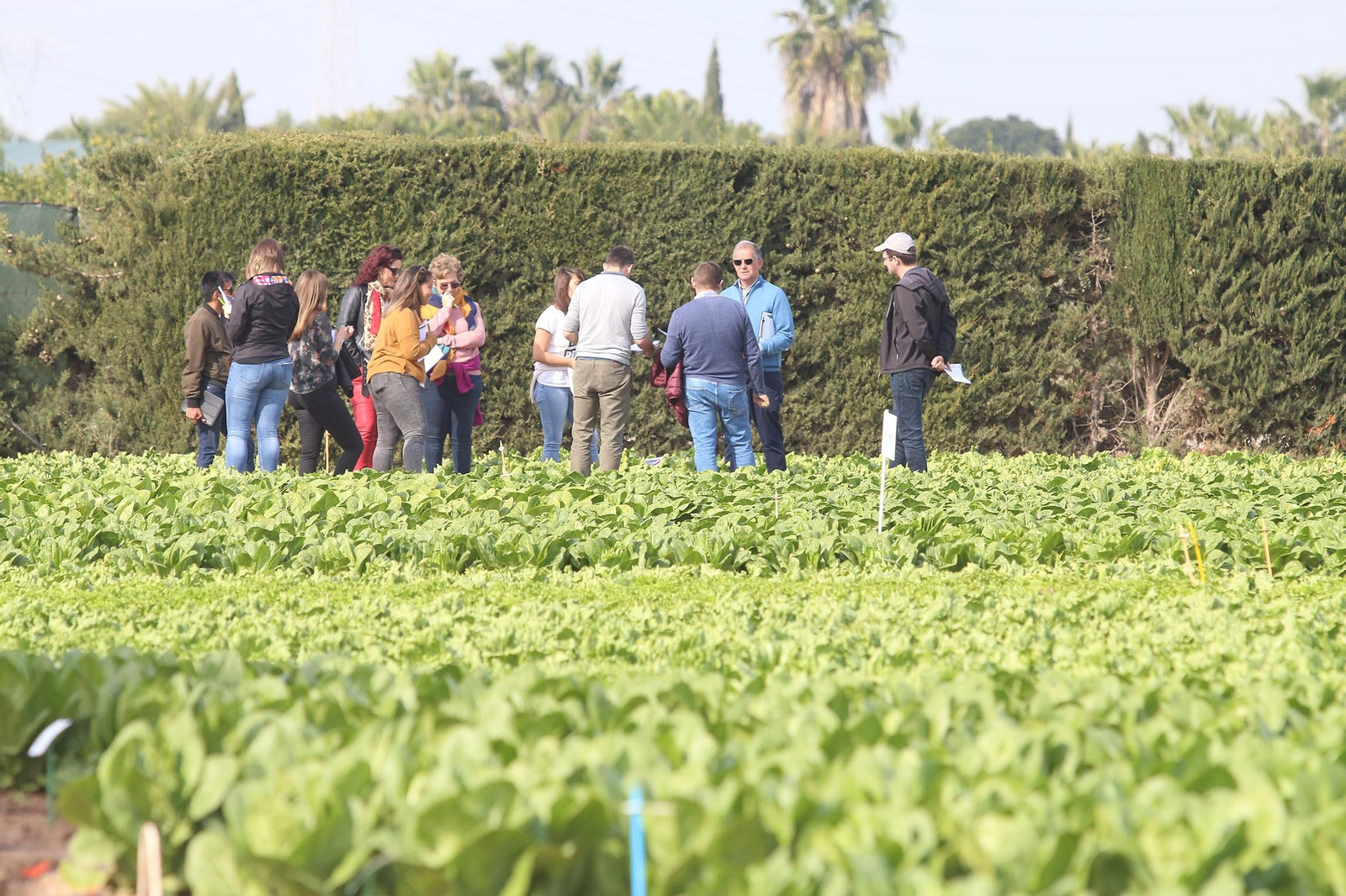 Fotogalería de las jornadas de puertas abiertas de Rijk Zwaan en Cartagena