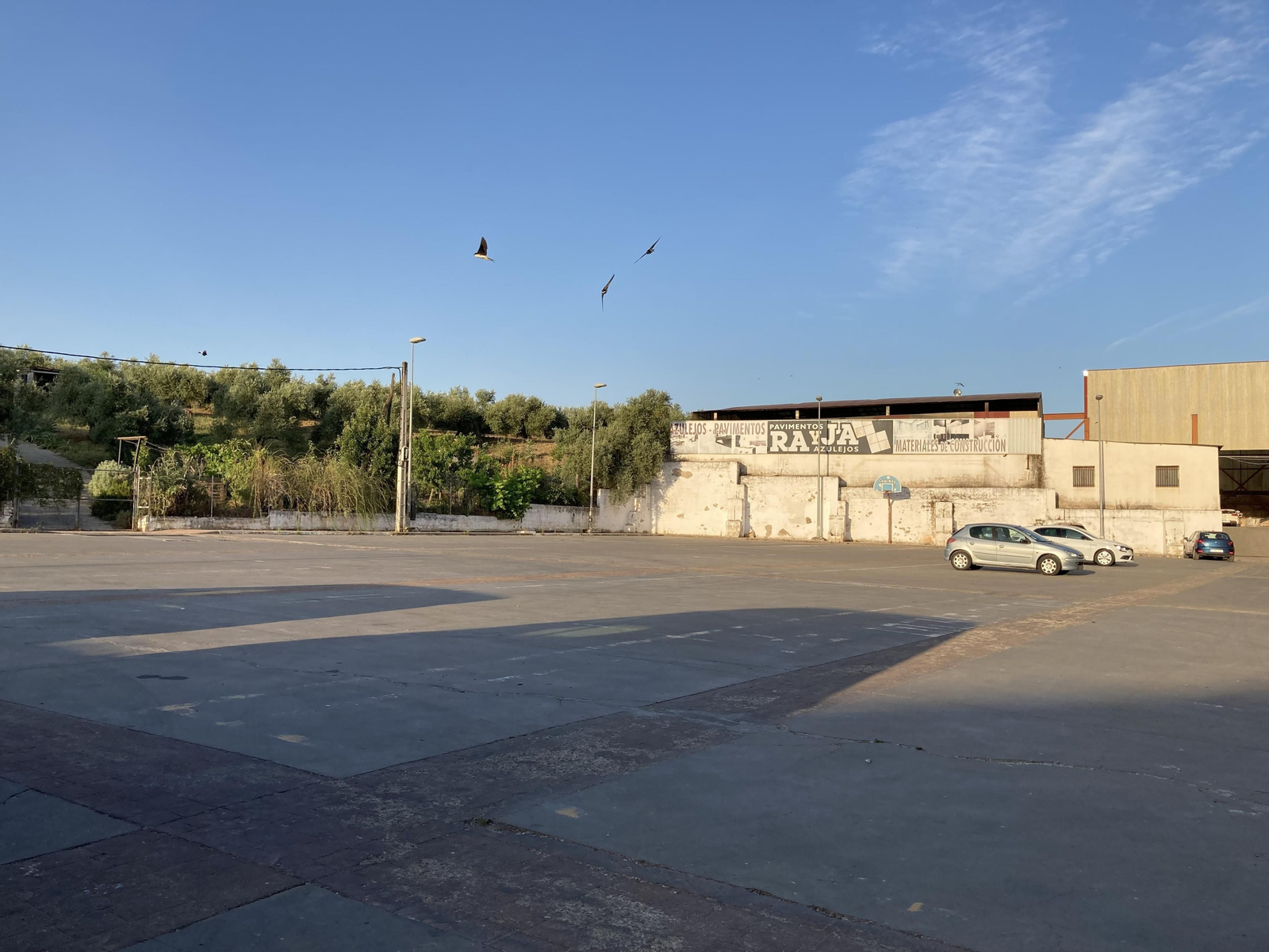 Parte del recinto ferial y el olivar de las zonas que quiere expropiar el Ayuntamiento.