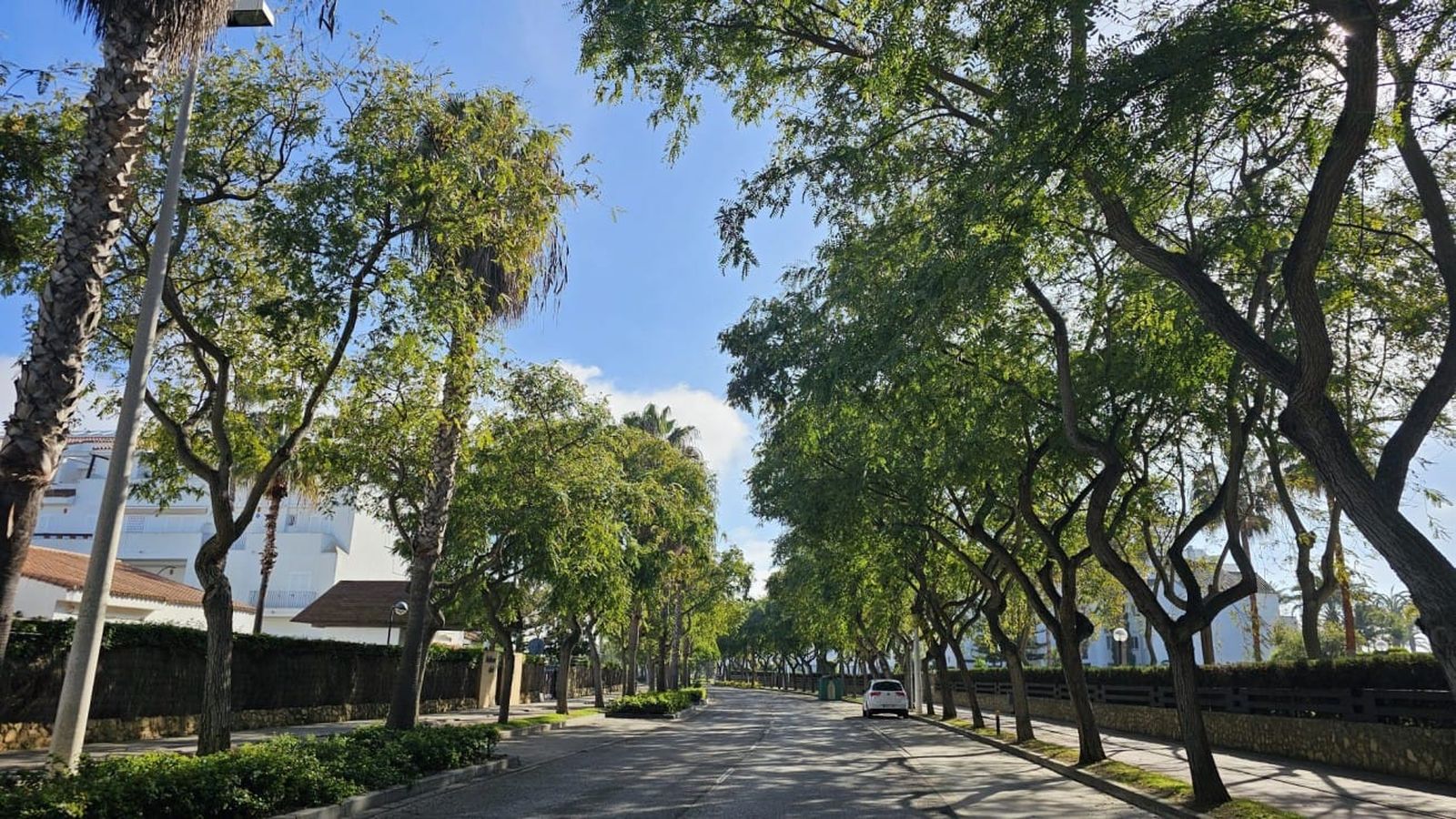 Avenida Reina Sofía, Costa Ballena.