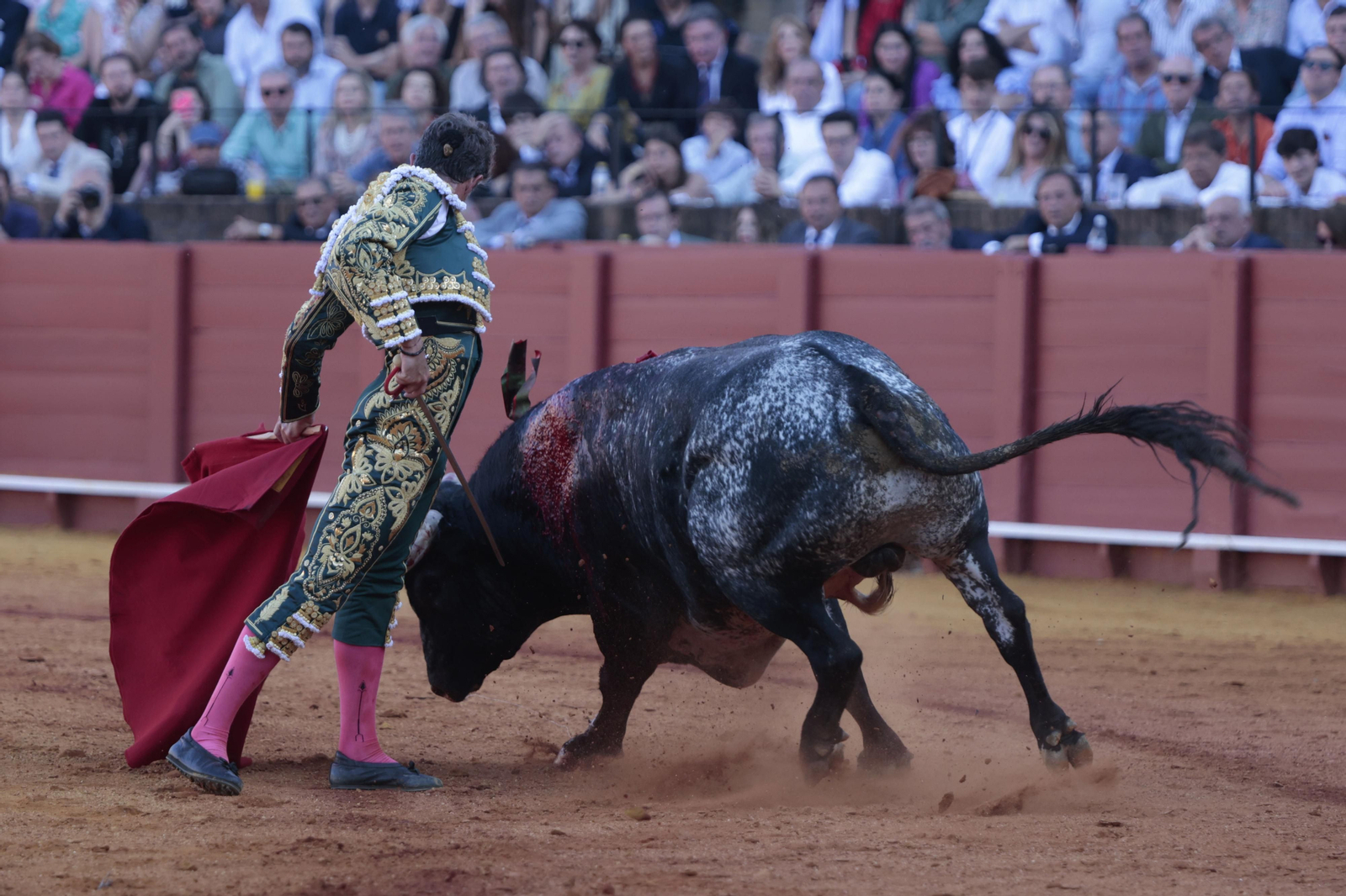 Las imágenes del festejo
