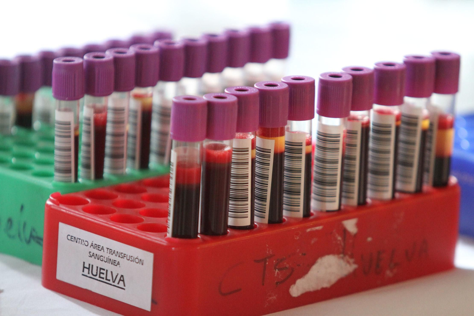 Macrocolecta de sangre en la Casa Colón