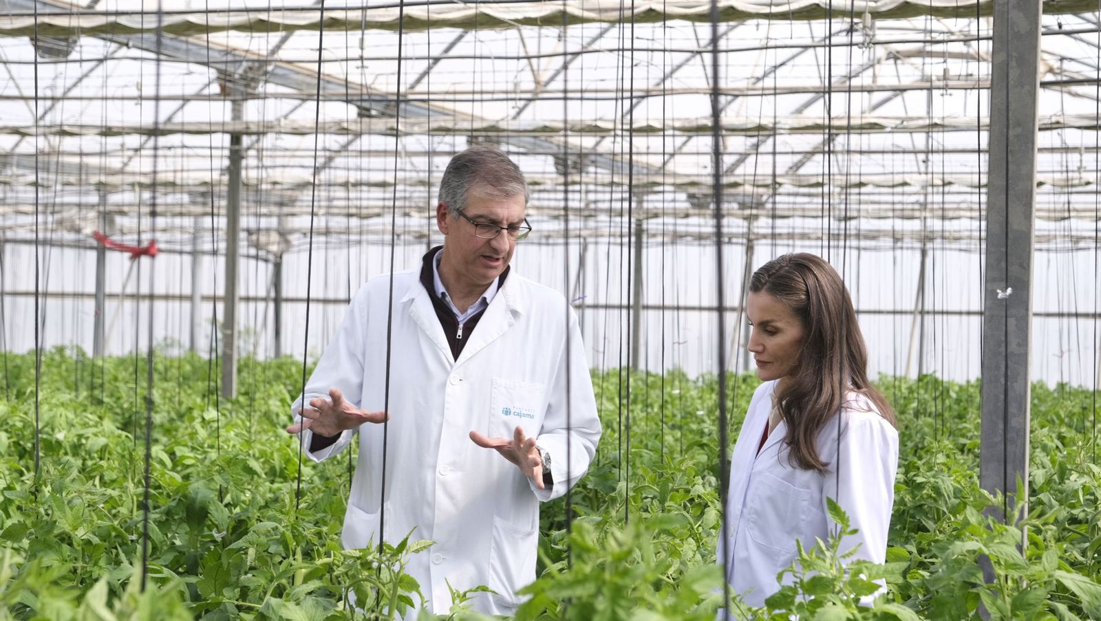 La visita de la reina Letizia a El Ejido, en imágenes