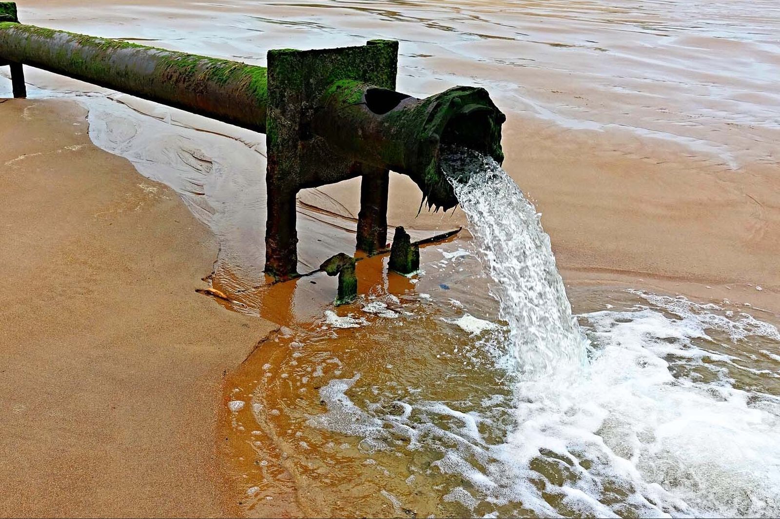 La UAL hace la primera descripción matemática mundial de los mecanismos de desinfección de aguas residuales