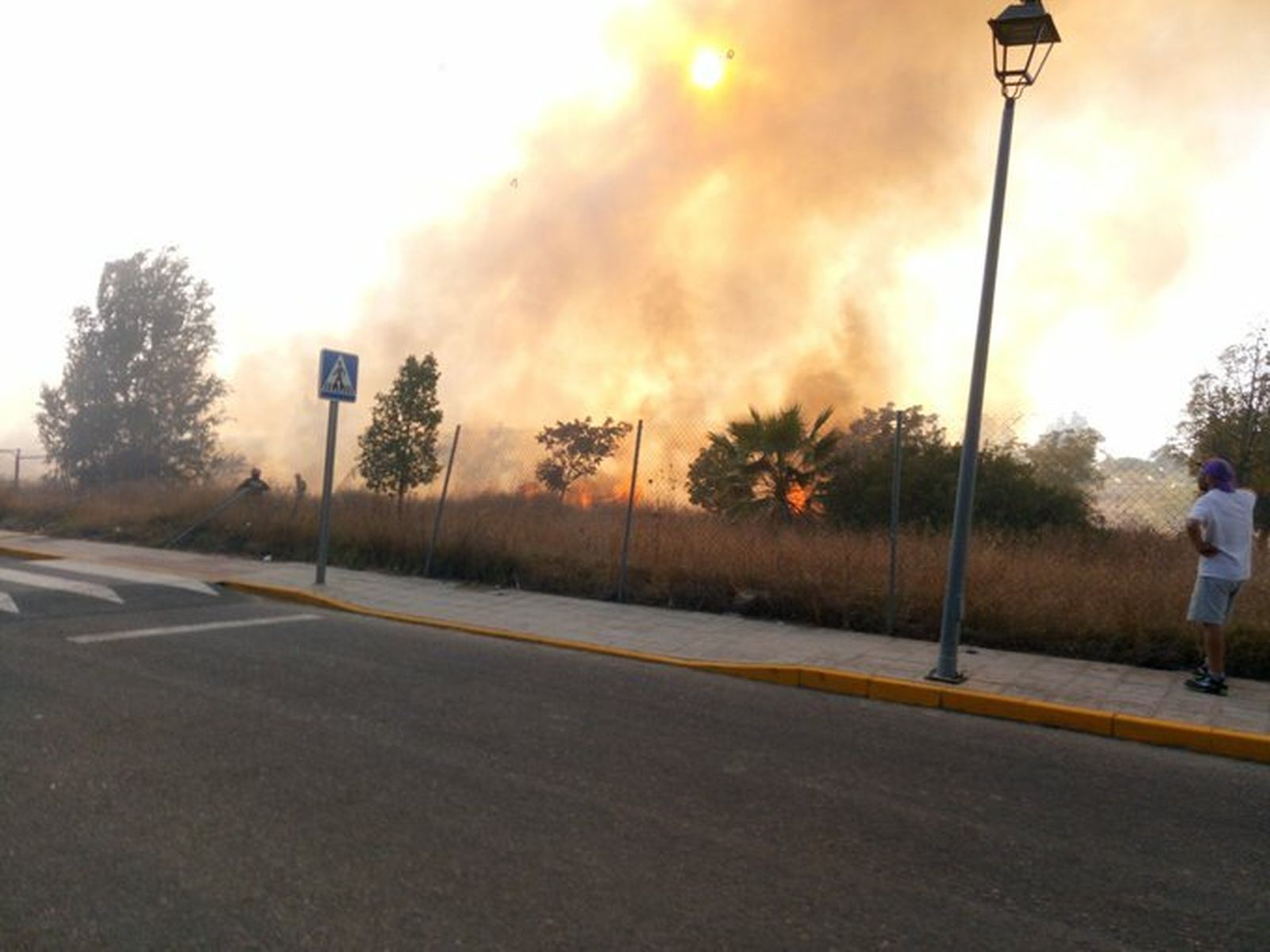 El incendio de Palomares del Río.