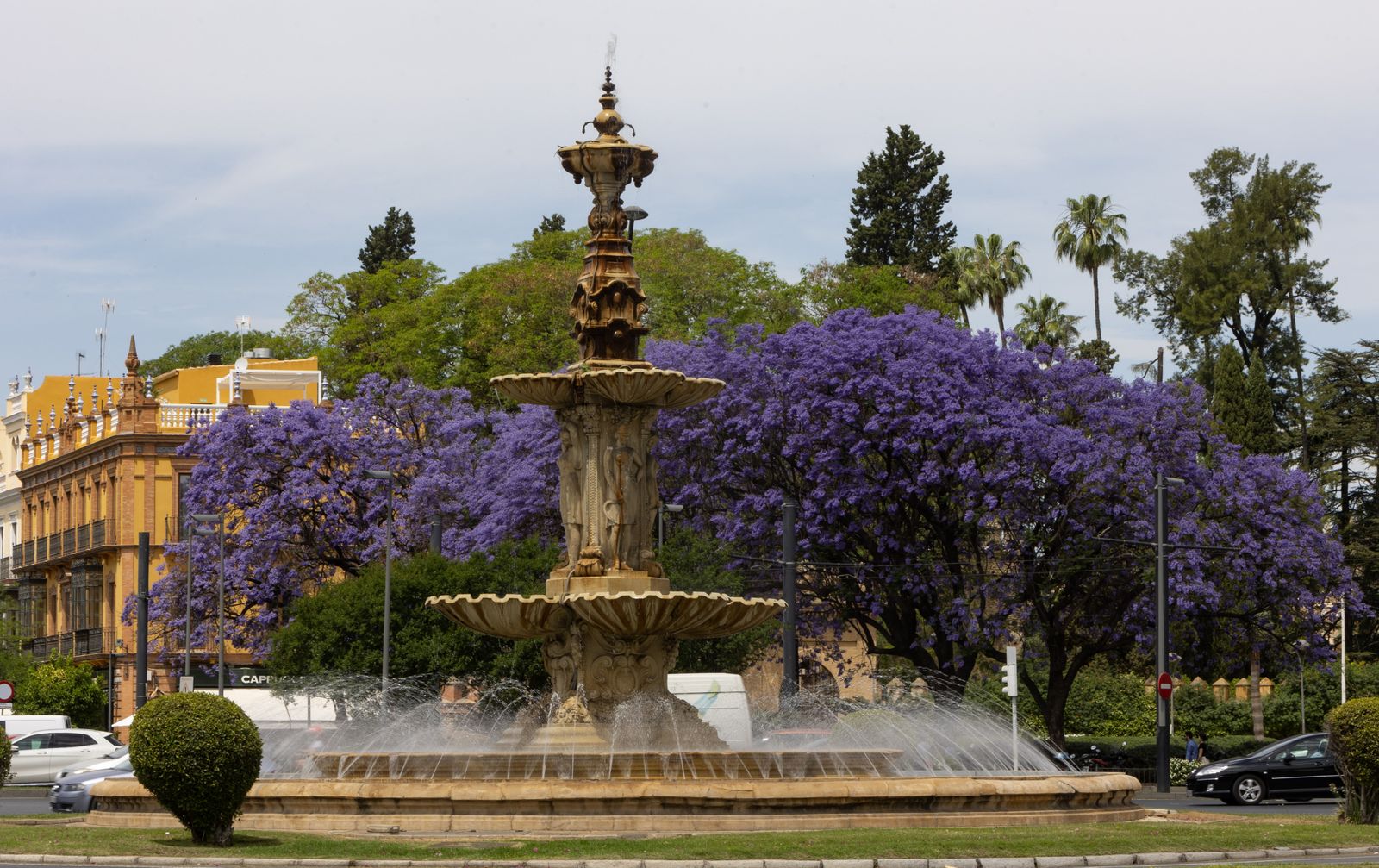 Las jacarandas vuelven a teñir de morado Sevilla
