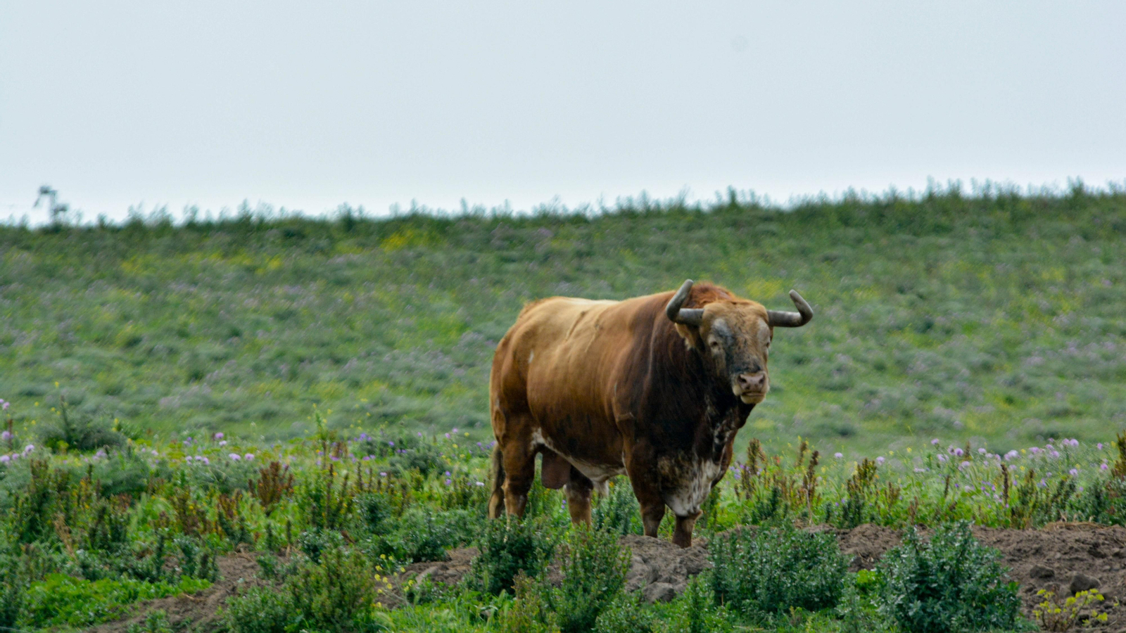 Finca La Palmosilla y la entrevista a Javier Nuñez