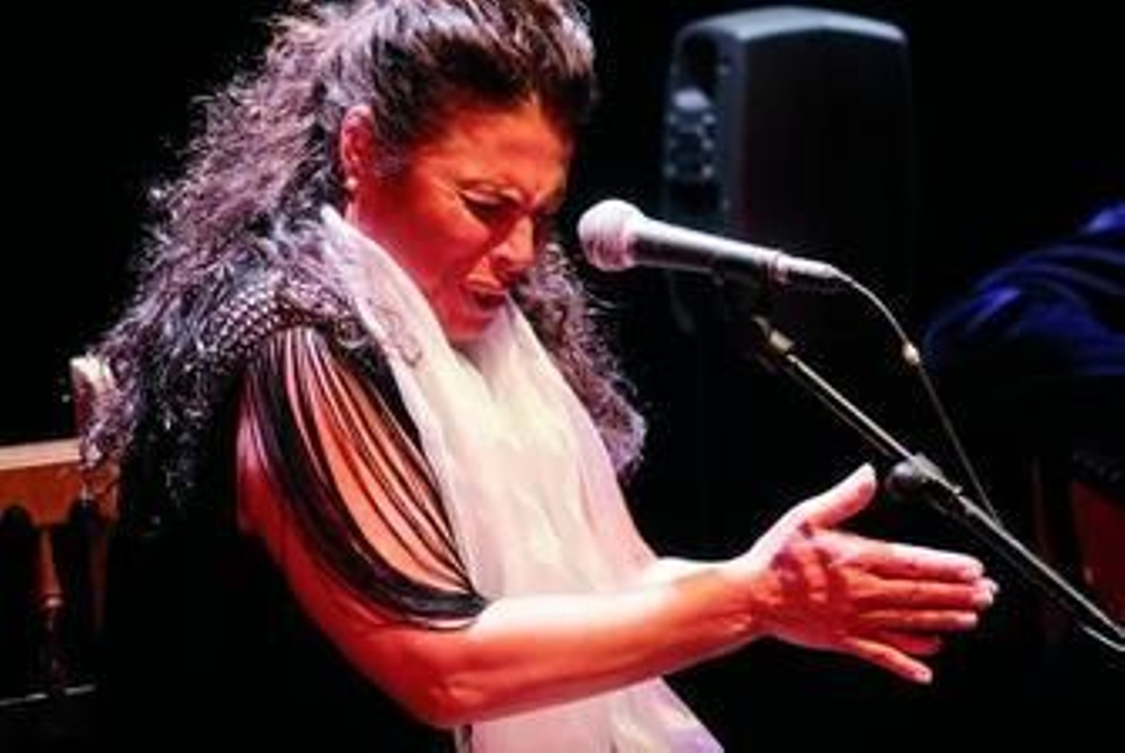 La cantaora Aurora Vargas, durante su actuación de ayer.