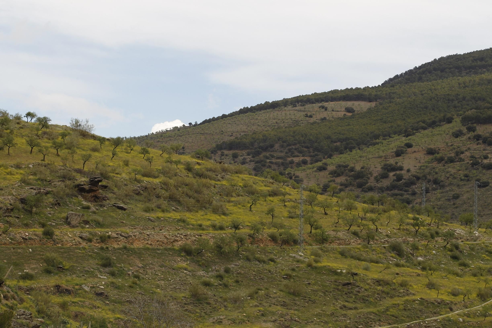 Naturaleza desconfinada. La Roza (Abrucena)