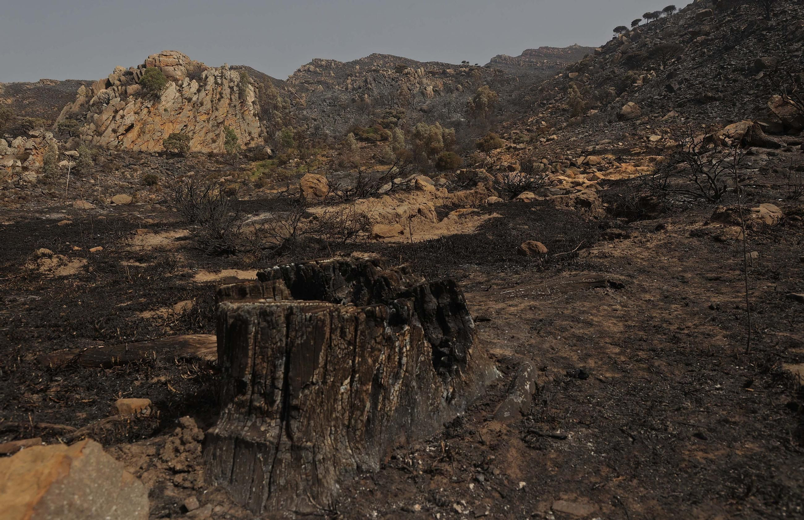Fotos de los efectos del incendio en el monte de La Peña en Tarifa
