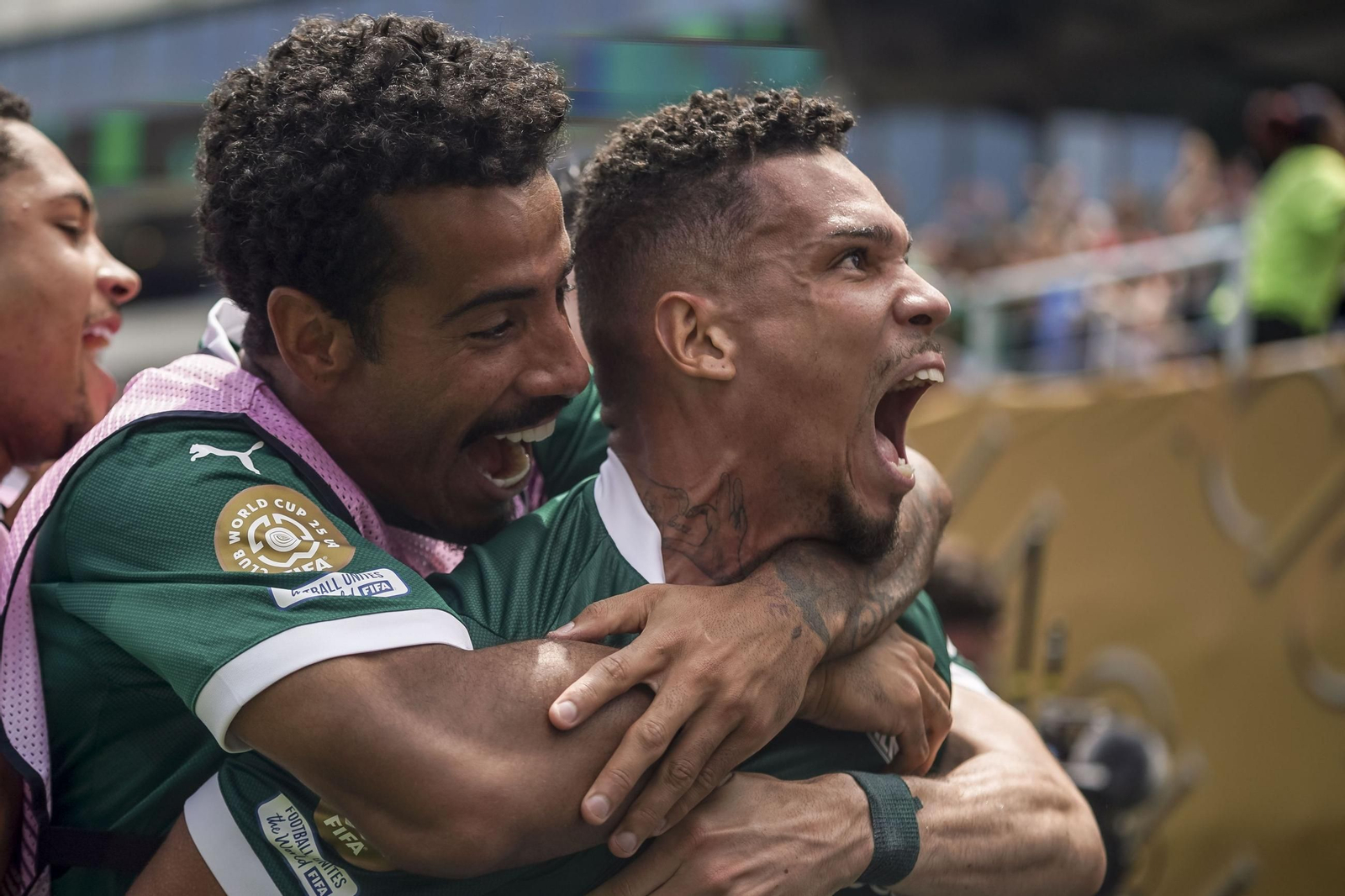 Palmeiras-Botafogo (27).jpg