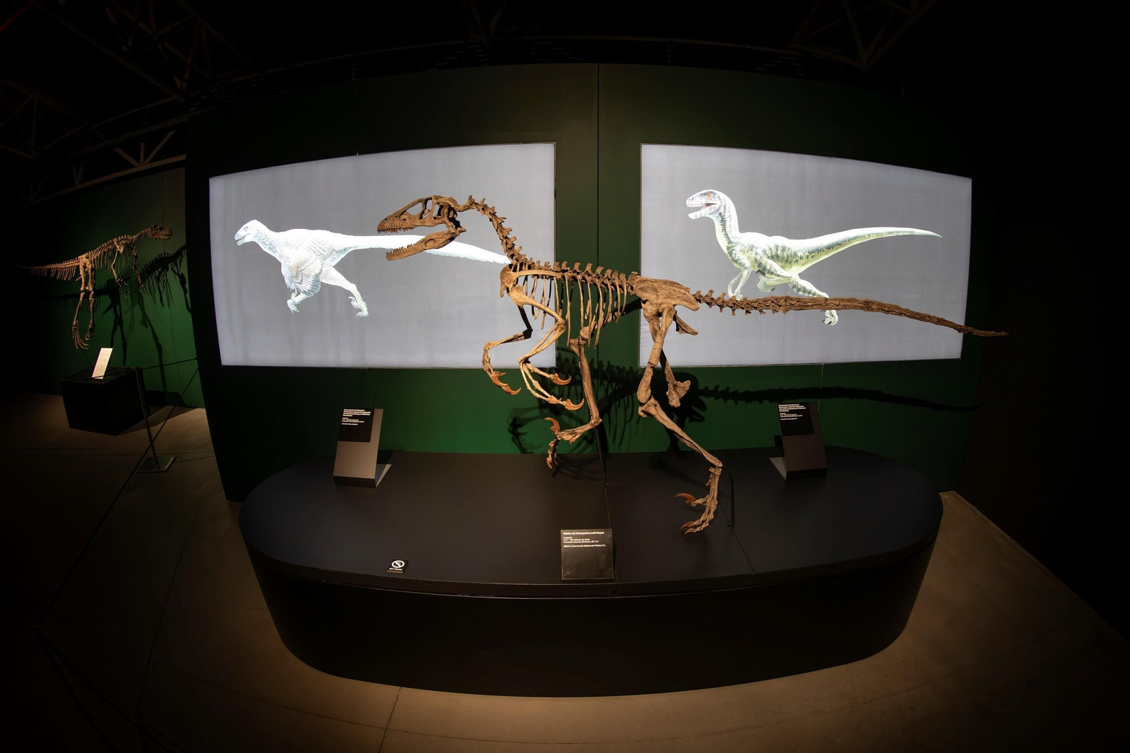 Así se han apoderado los dinosaurios del Parque de las Ciencias de Granada