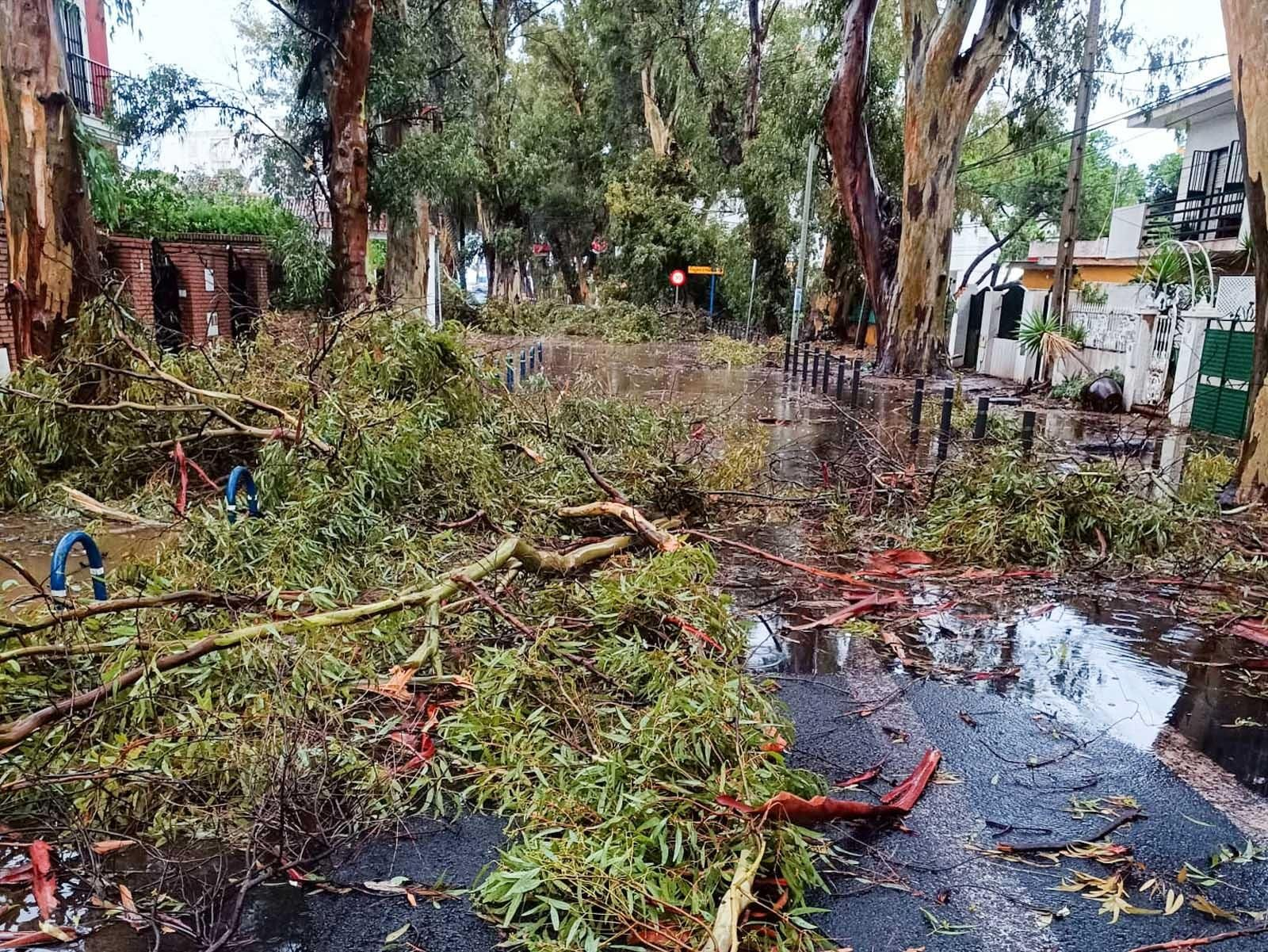 Las fotografías de los destrozos provocados por la manga marina que ha cruzado Isla Cristina durante el temporal de este miércoles
