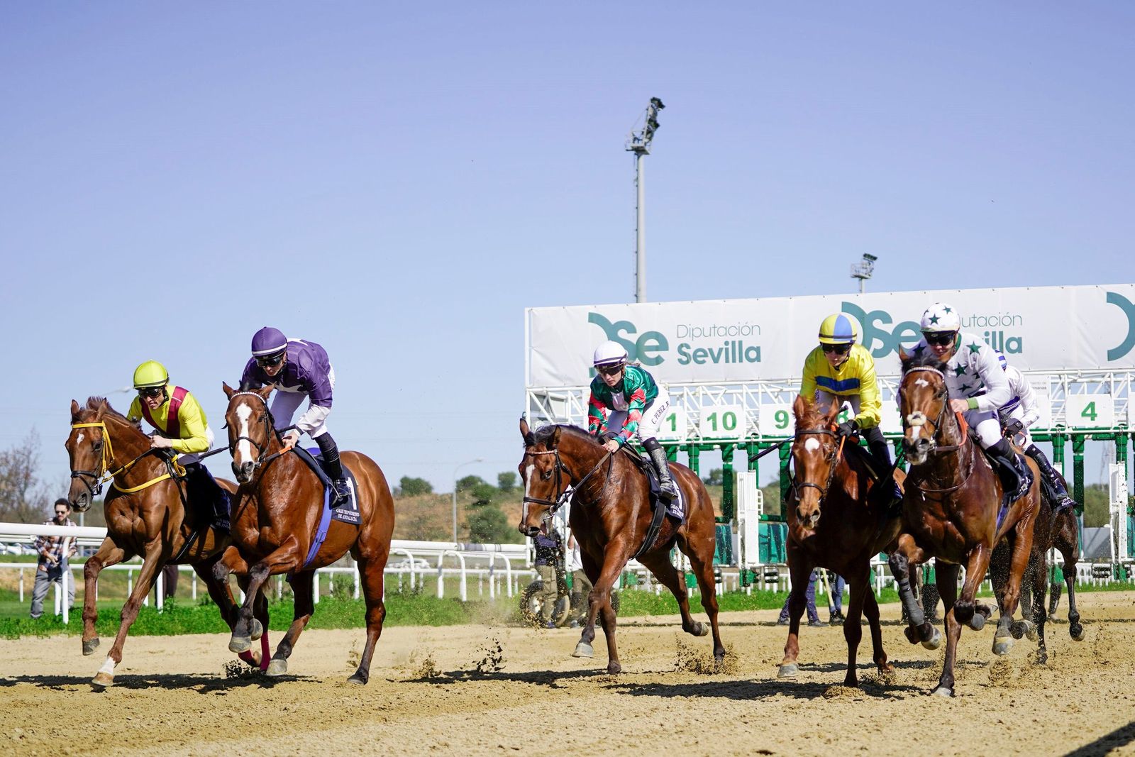 Las fotos del Premio Diario de Sevilla en el hipódromo de Dos Hermanas