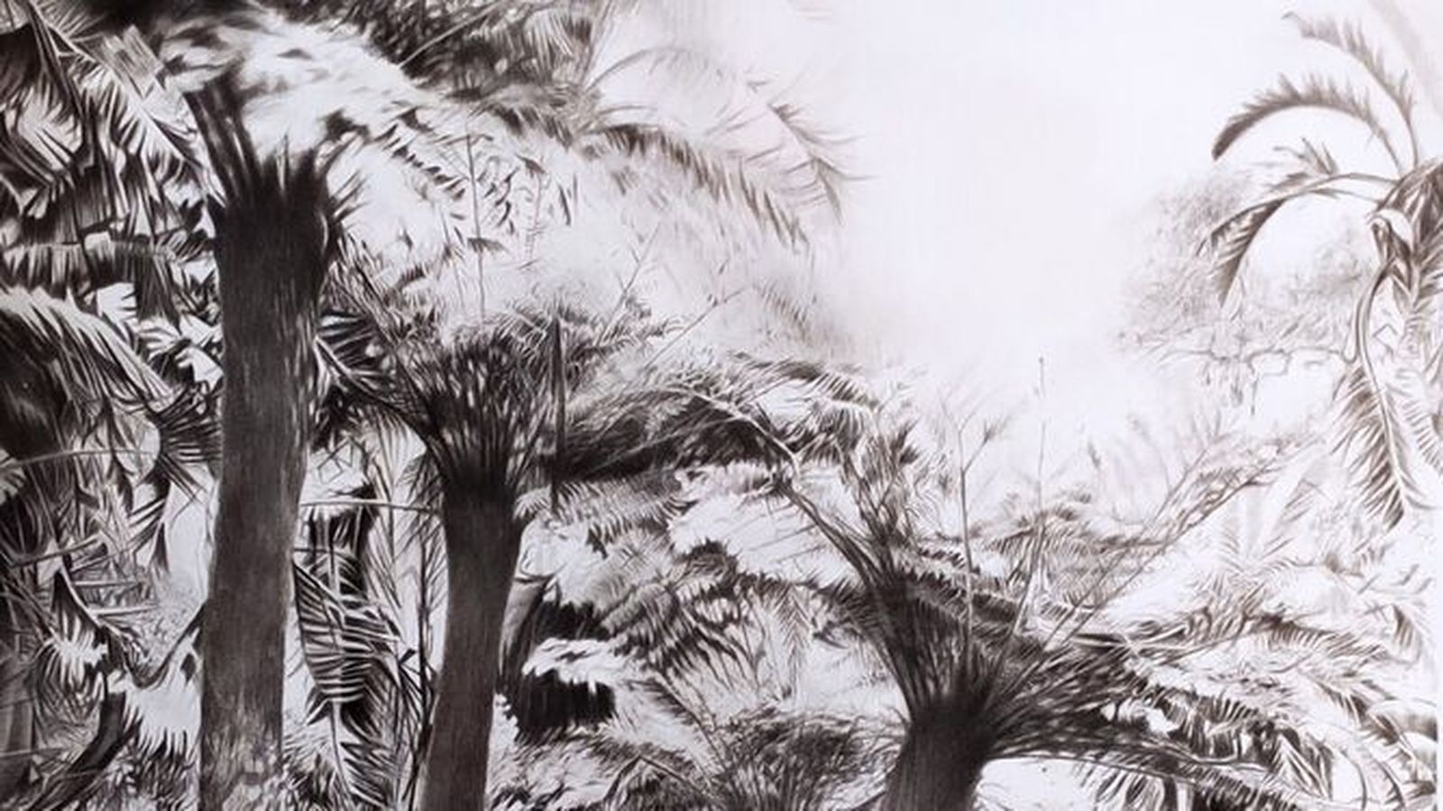 Últimos días de Magdalena Bachiller en Pescadería Vieja