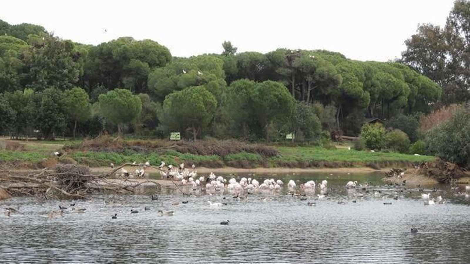 Ruta de la Cañada de los pájaros