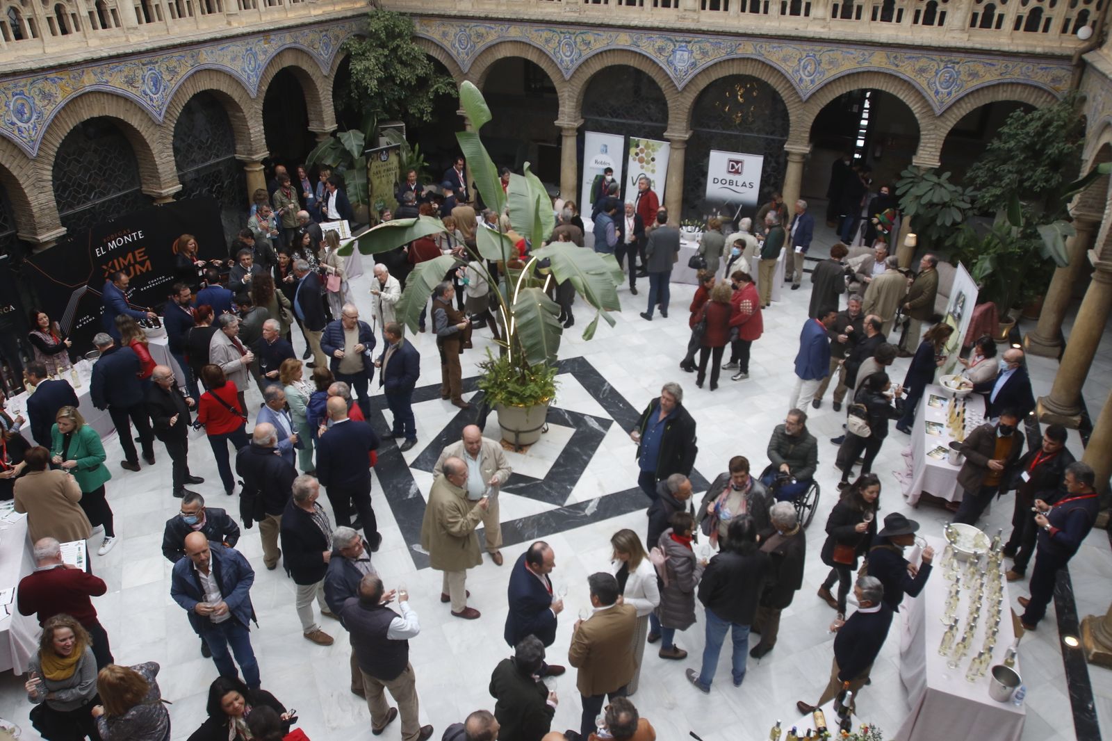La presentación en sociedad de los vinos nuevos de Moriles y Montilla, en imágenes