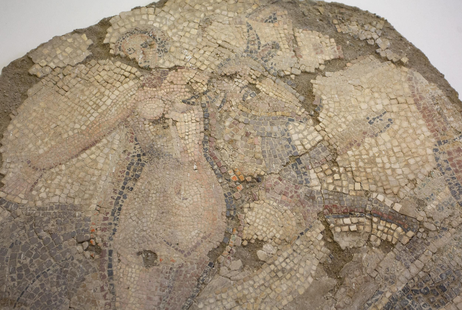 El traslado de las piezas del Museo Arqueológico, en imágenes.