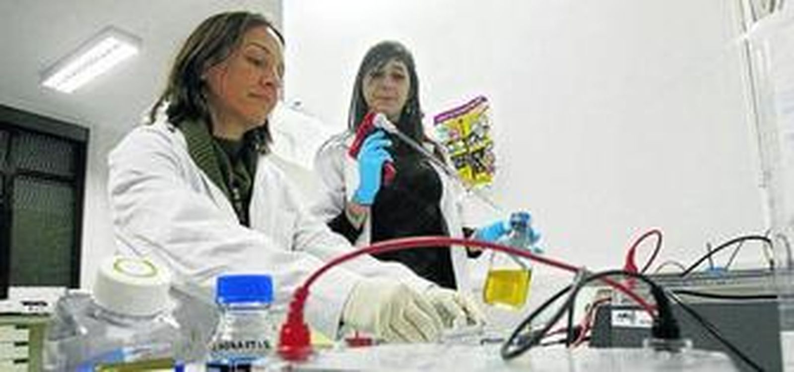 Este método se ha aplicado ya en órganos como la vejiga o la piel.