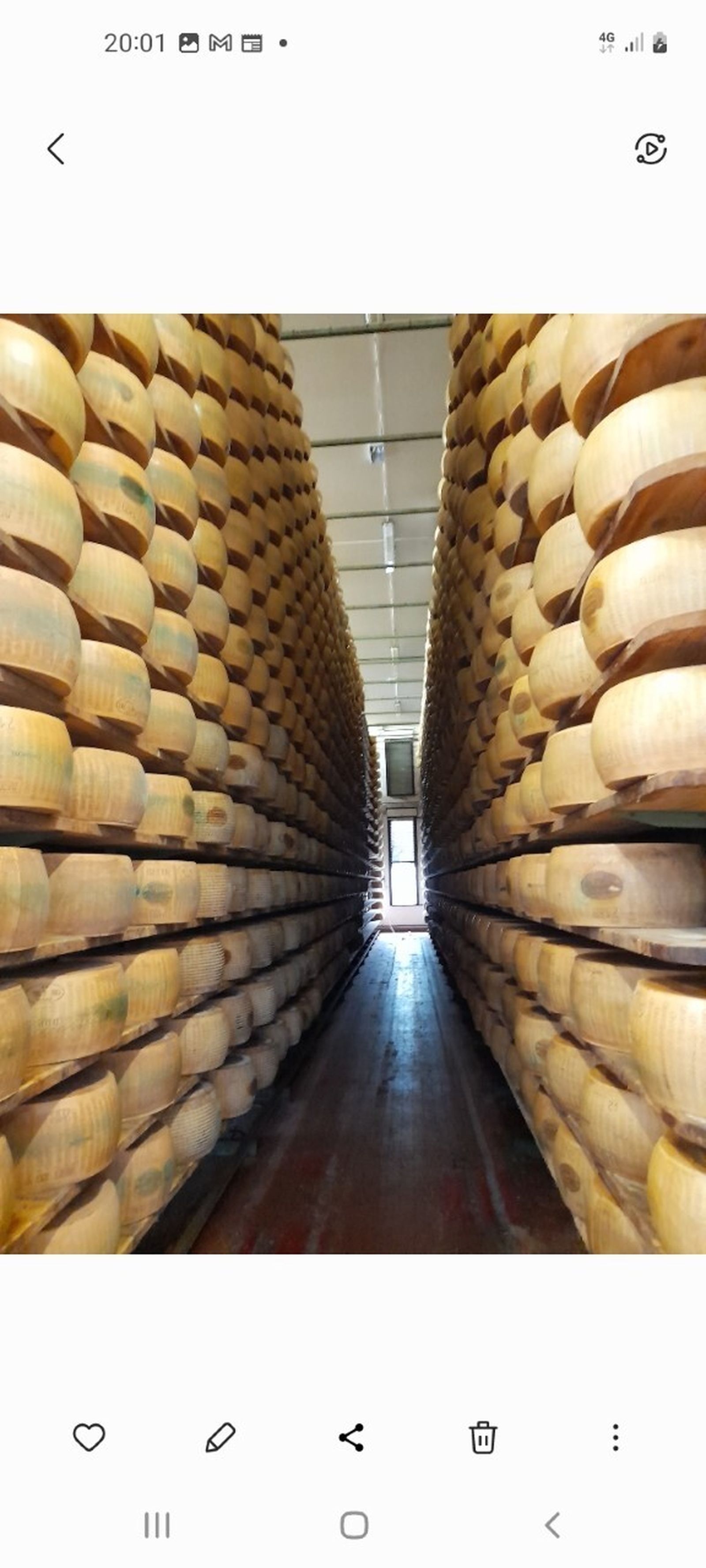 Una bodega de quesos parmigiano reggiano