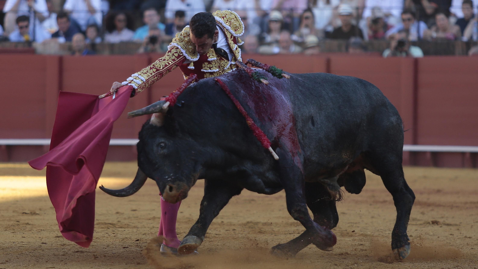 Las imágenes de la corrida de Los Miura