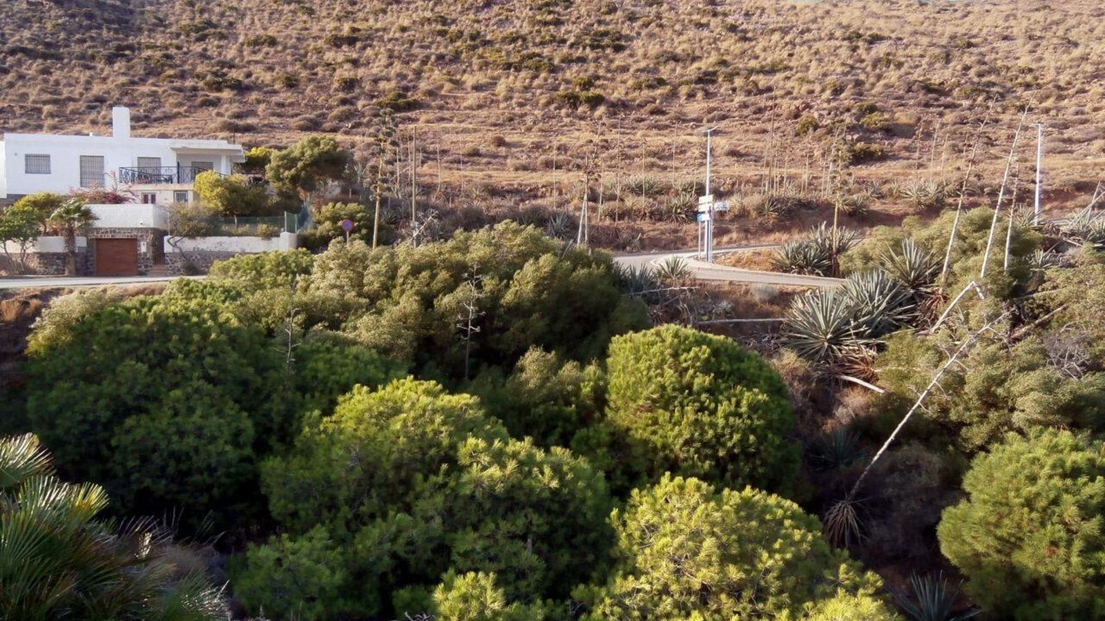 Zona norte de San José en el que se ha previsto el desarrollo de la UE-SJ-24