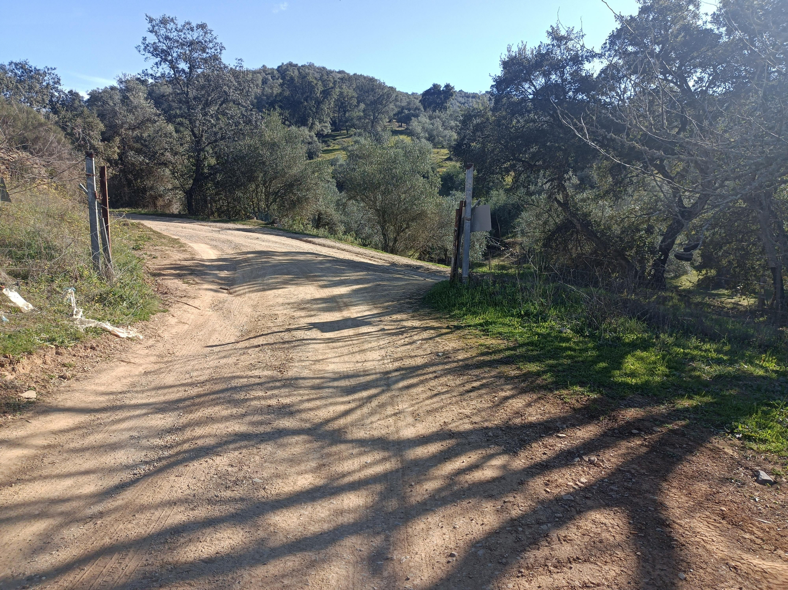 Las fotos de la circular de los Molinos del Ciudadeja
