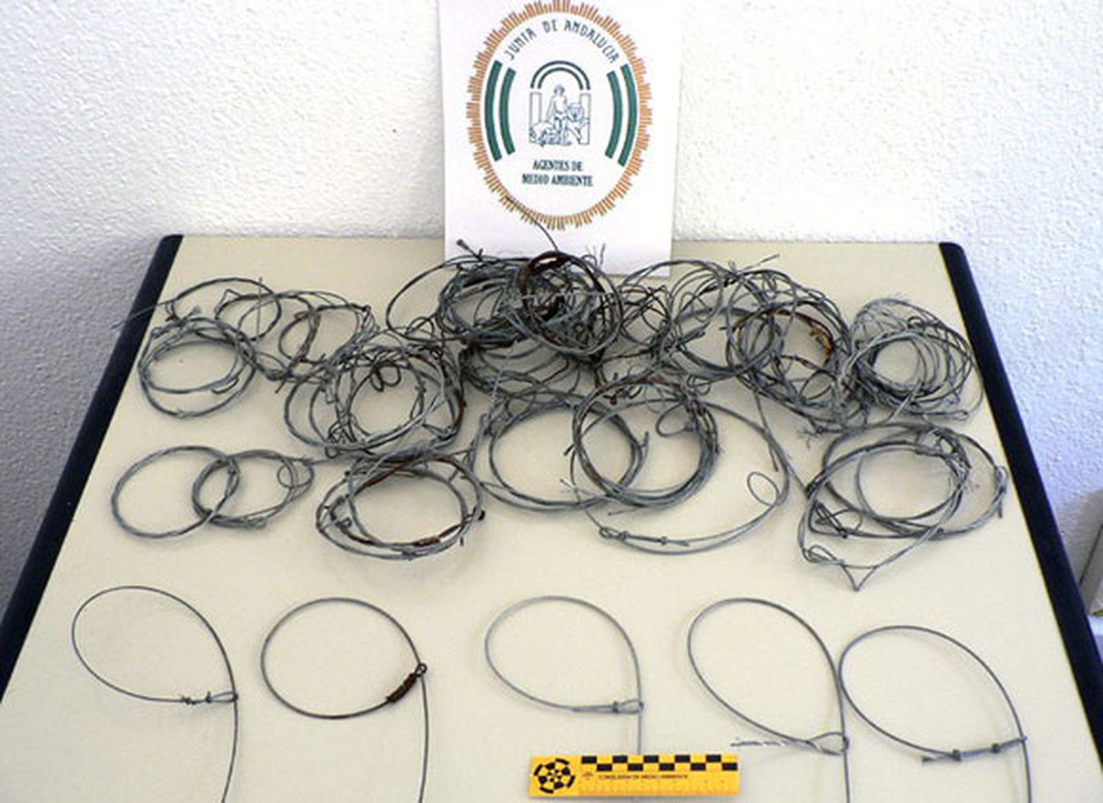 Incautados 137 lazos ilegales para cazar animales en la sierra de Cádiz