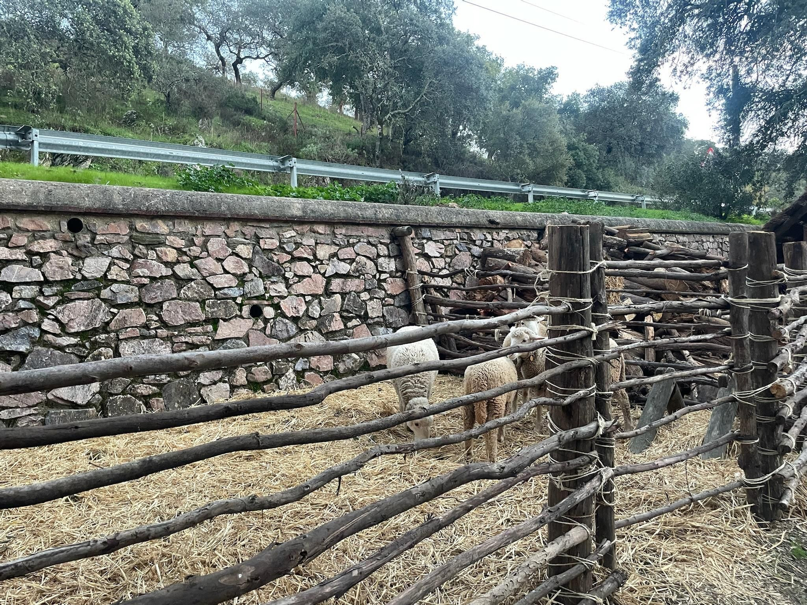 Así es uno de los Belenes Vivientes más bonitos que podrás ver este puente en Huelva