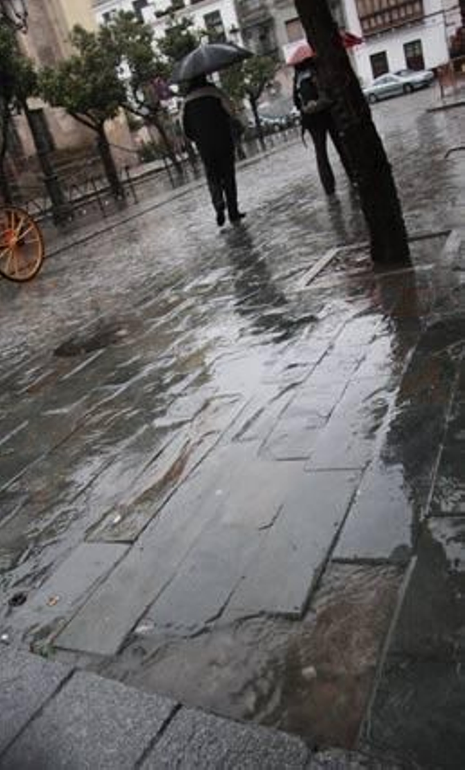 El paraguas se ha hecho imprescindible esta semana en la capital hispalense. 

Foto: Victoria Hidalgo