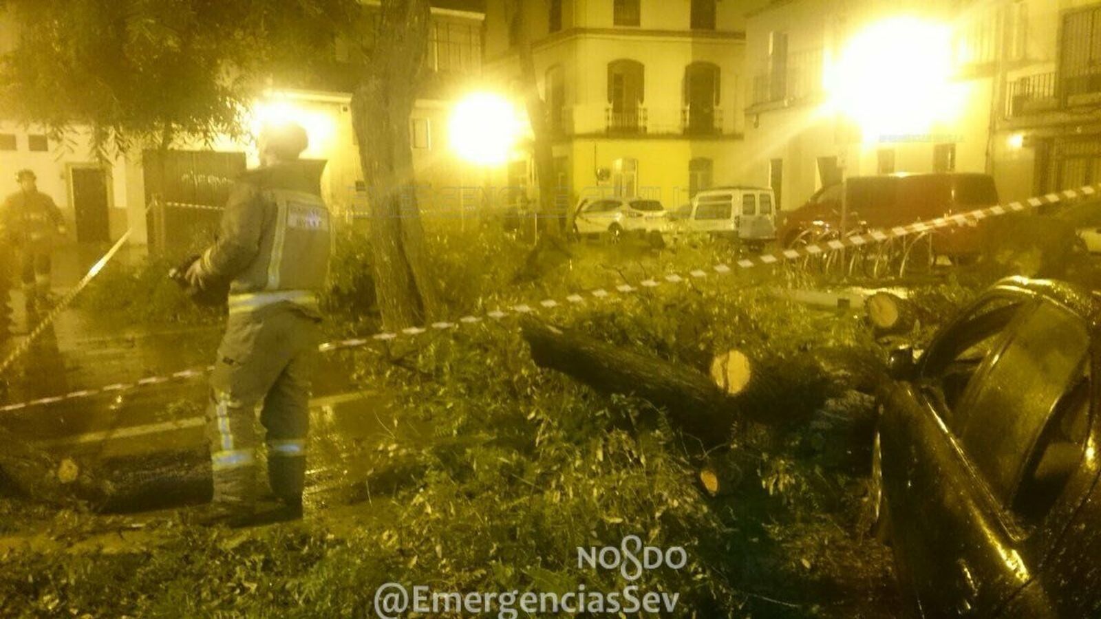 Las imágenes del paso de la borrasca 'Ana' por Sevilla