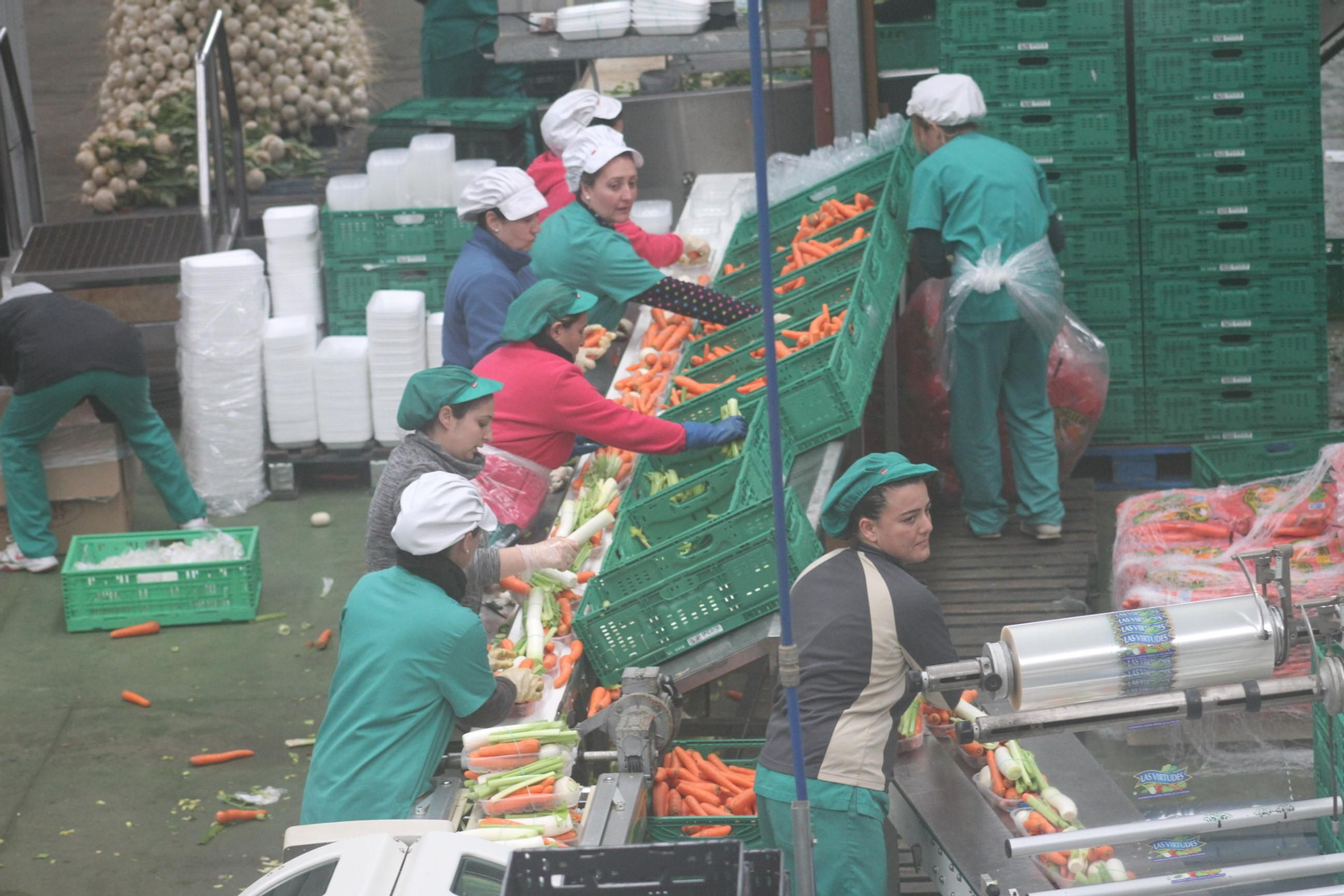 Actos con motivo del 8-M en la provincia