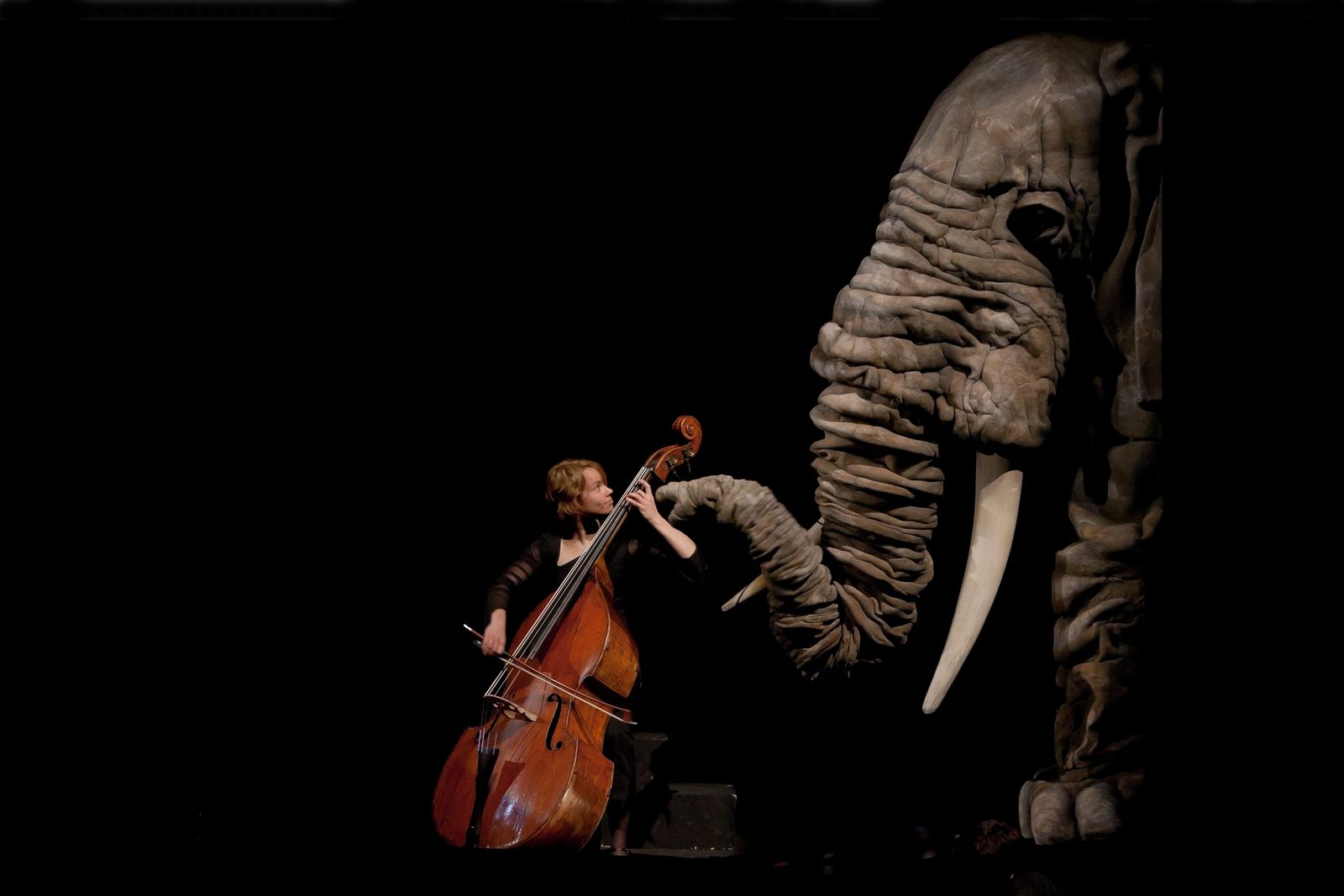 Una escena de 'Soñando el carnaval de los animales'.