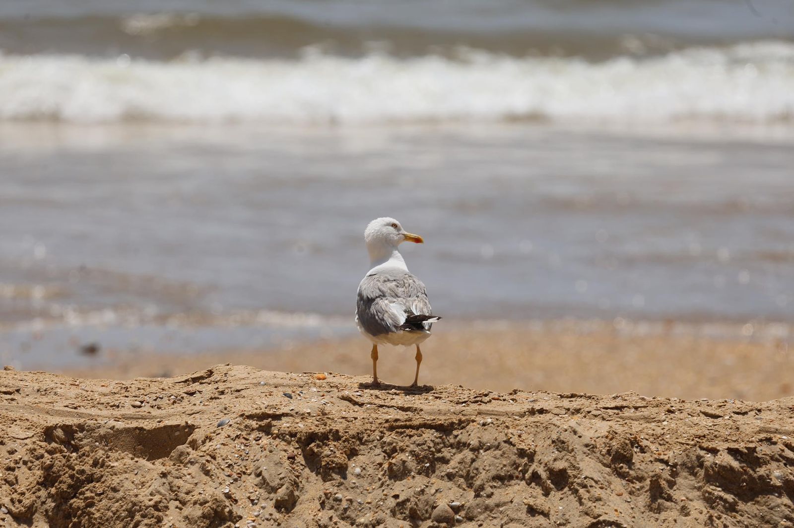 Imágenes del ambiente en las playas de Matalascañas, La Bota y Mazagón durante la mañana del domingo