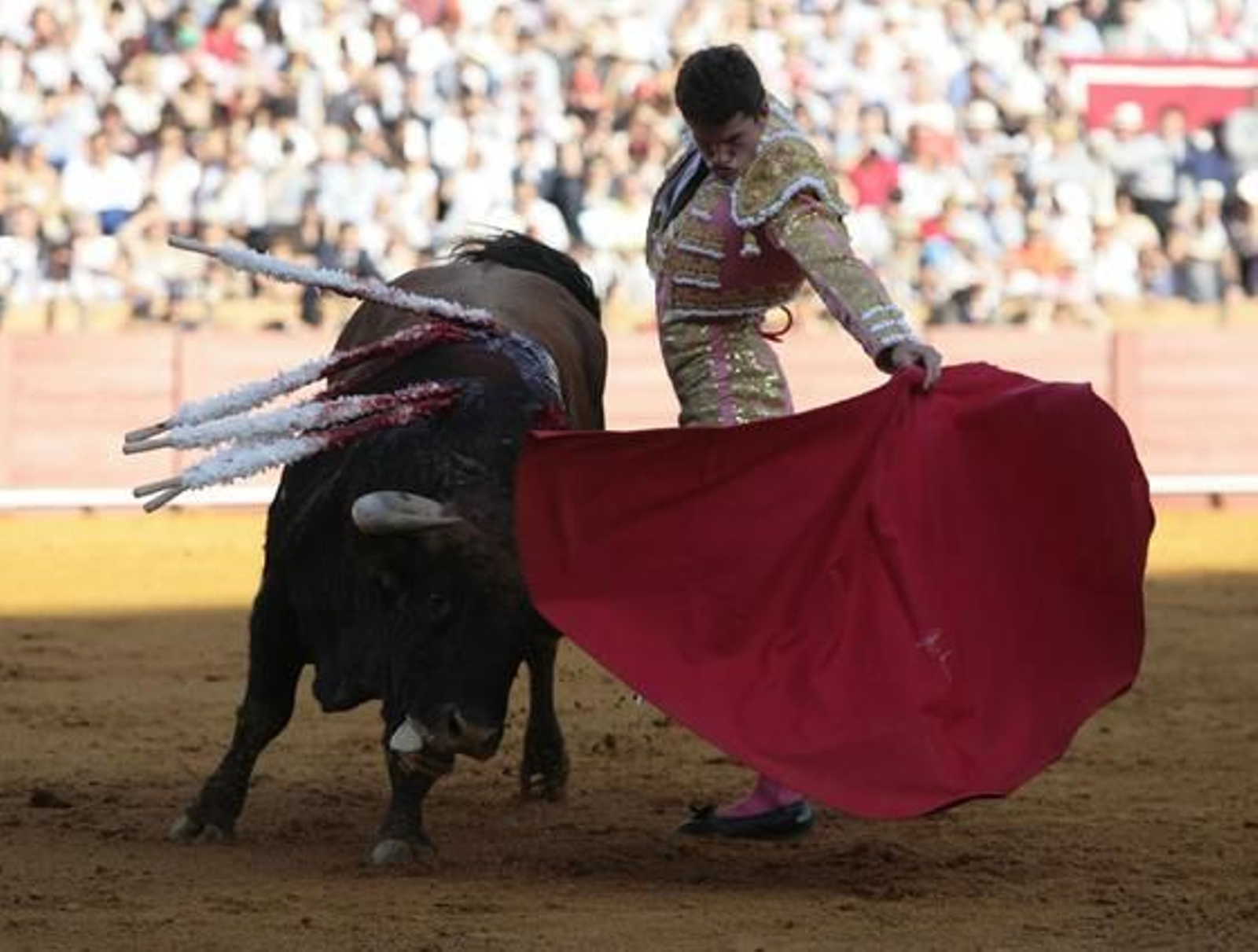 El sevillano Daniel Luque con el tercero de la tarde en la treceava del abono de La Maestranza.

Foto: Juan Carlos Muñoz