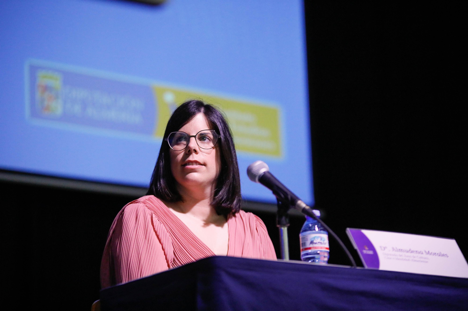 Imágenes de la entrega de los Escudos de Oro del IEA y la celebración de su Plenario