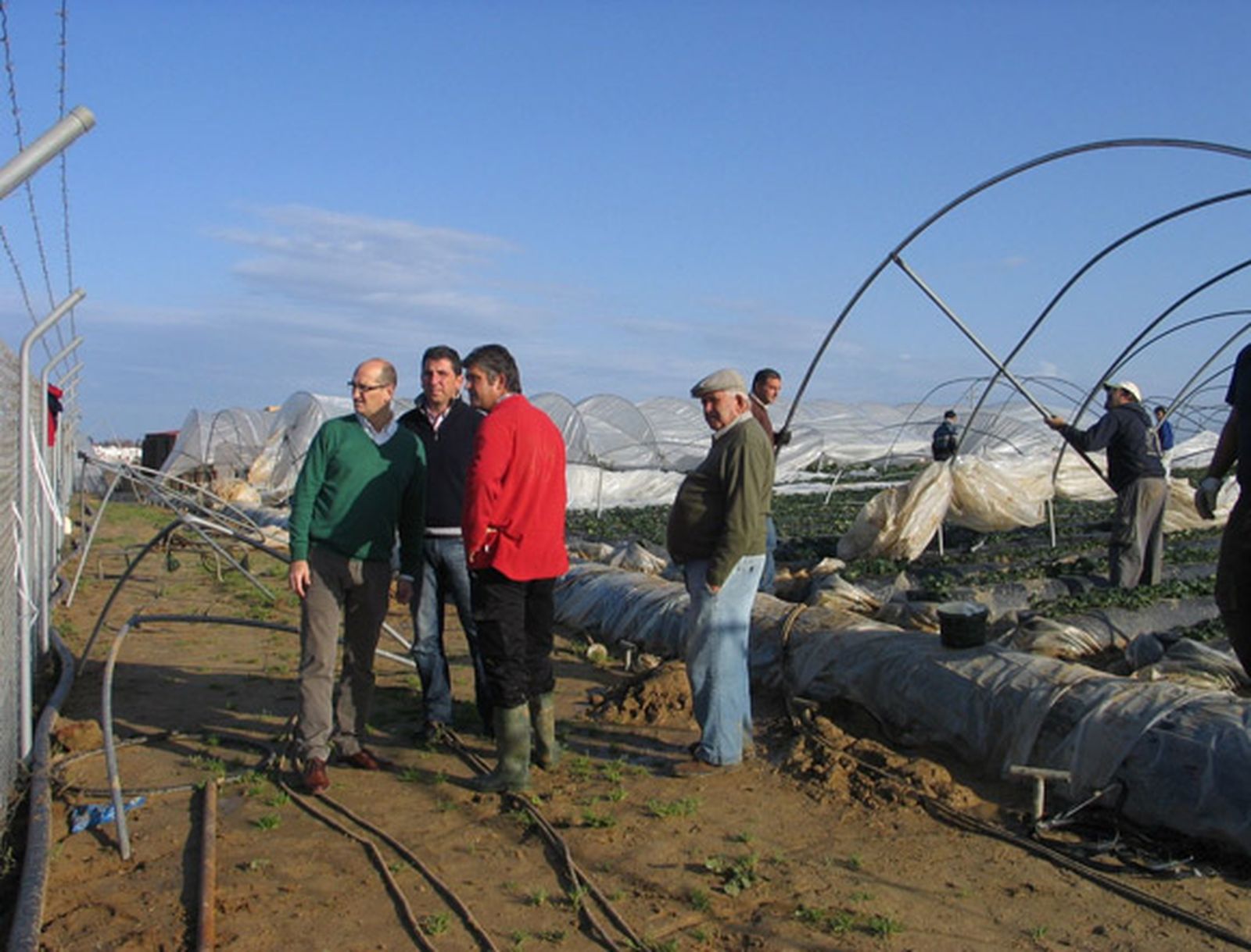 Un potente tornado causa graves daños en varias explotaciones agrarias de Moguer