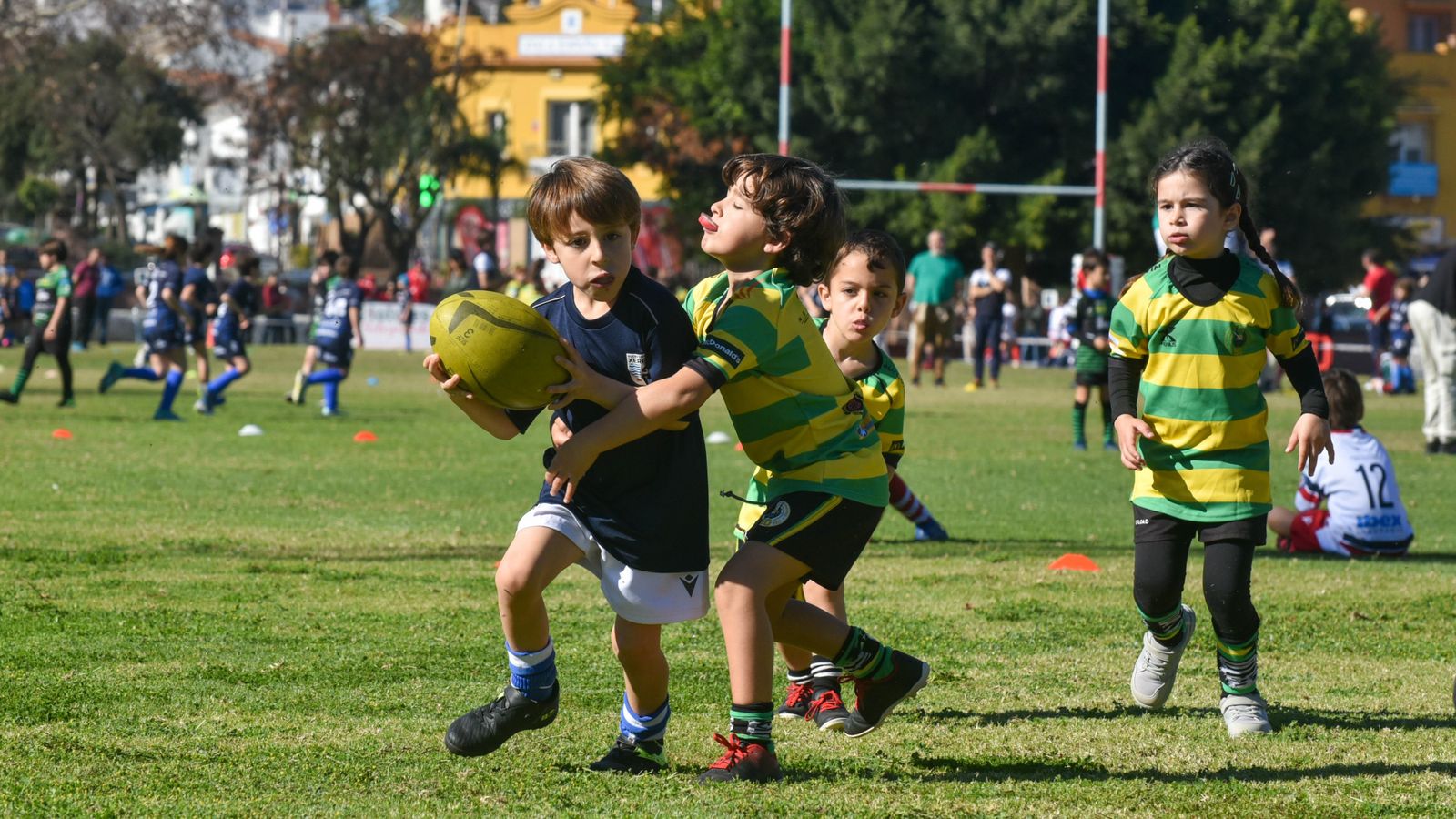 Las fotos del Festival Andaluz de rugby gradual en Pueblo Nuevo de Guadiaro