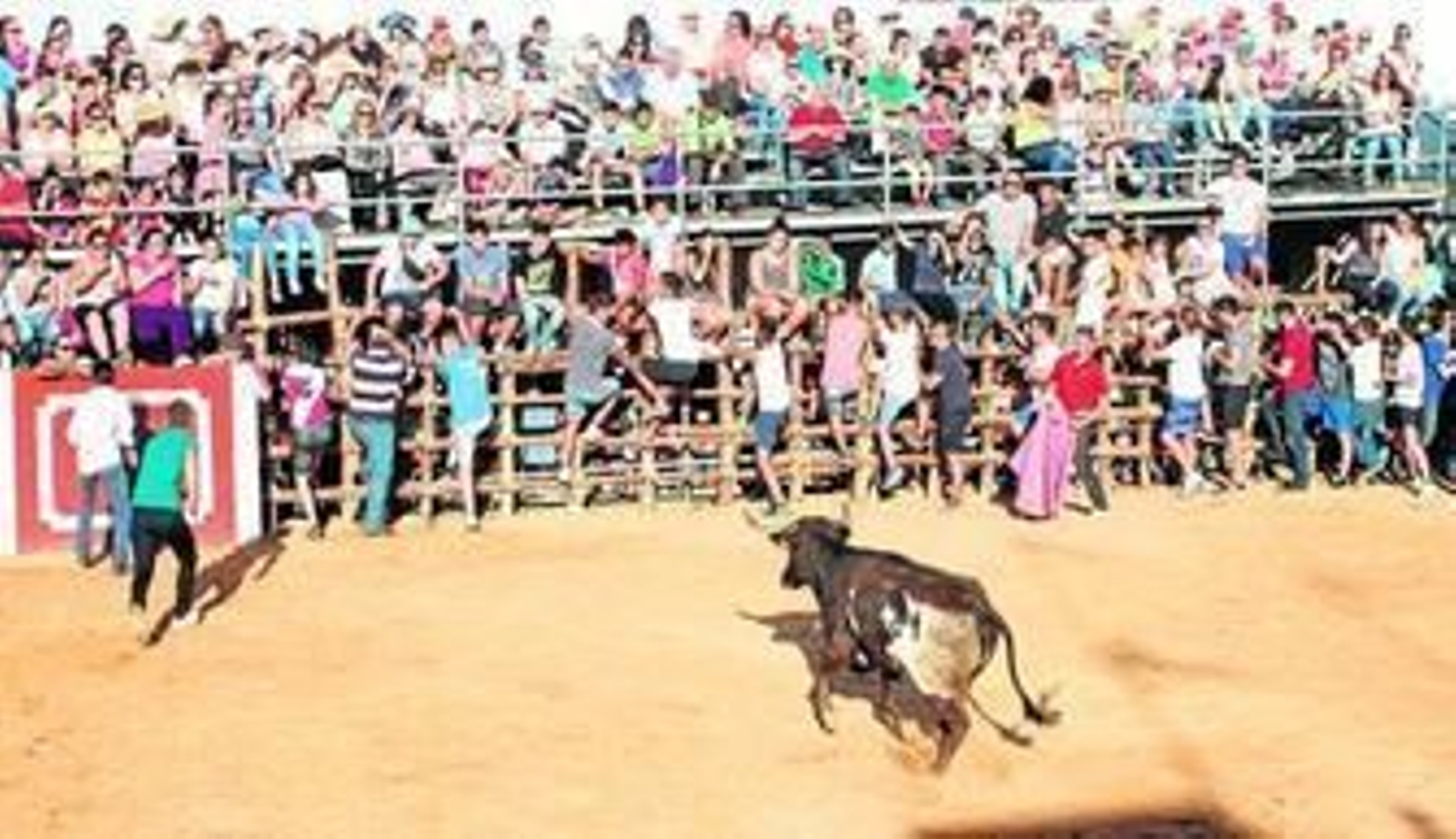 Distintos momentos de las capeas, ayer, en San Juan del Puerto y las damas de honor durante el paseíllo. Distintos momentos de las capeas, ayer, en San Juan del Puerto y las damas de honor durante el paseíllo.