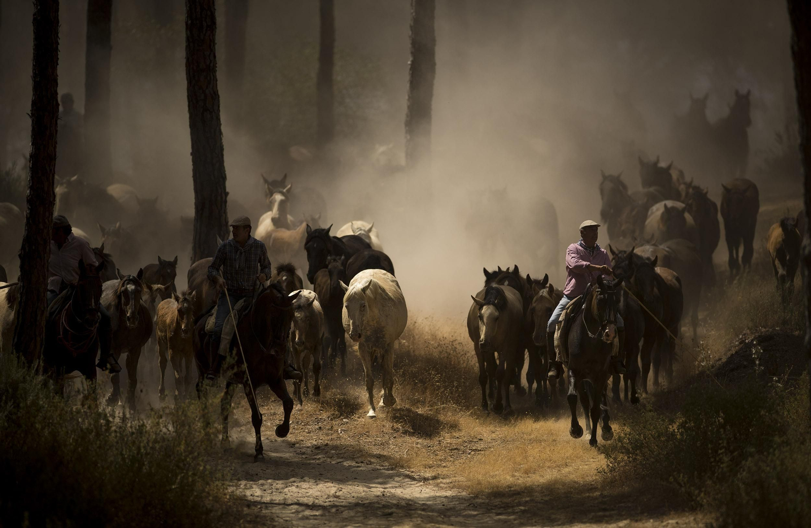 La Saca de las Yeguas, en imágenes