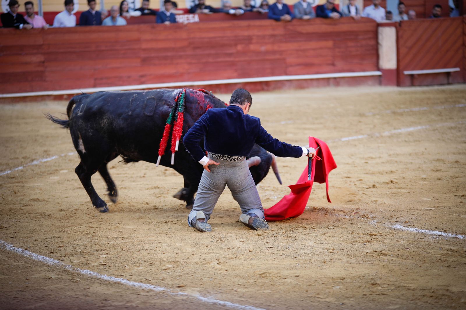Imágenes del festival mixto lucha contra el cáncer
