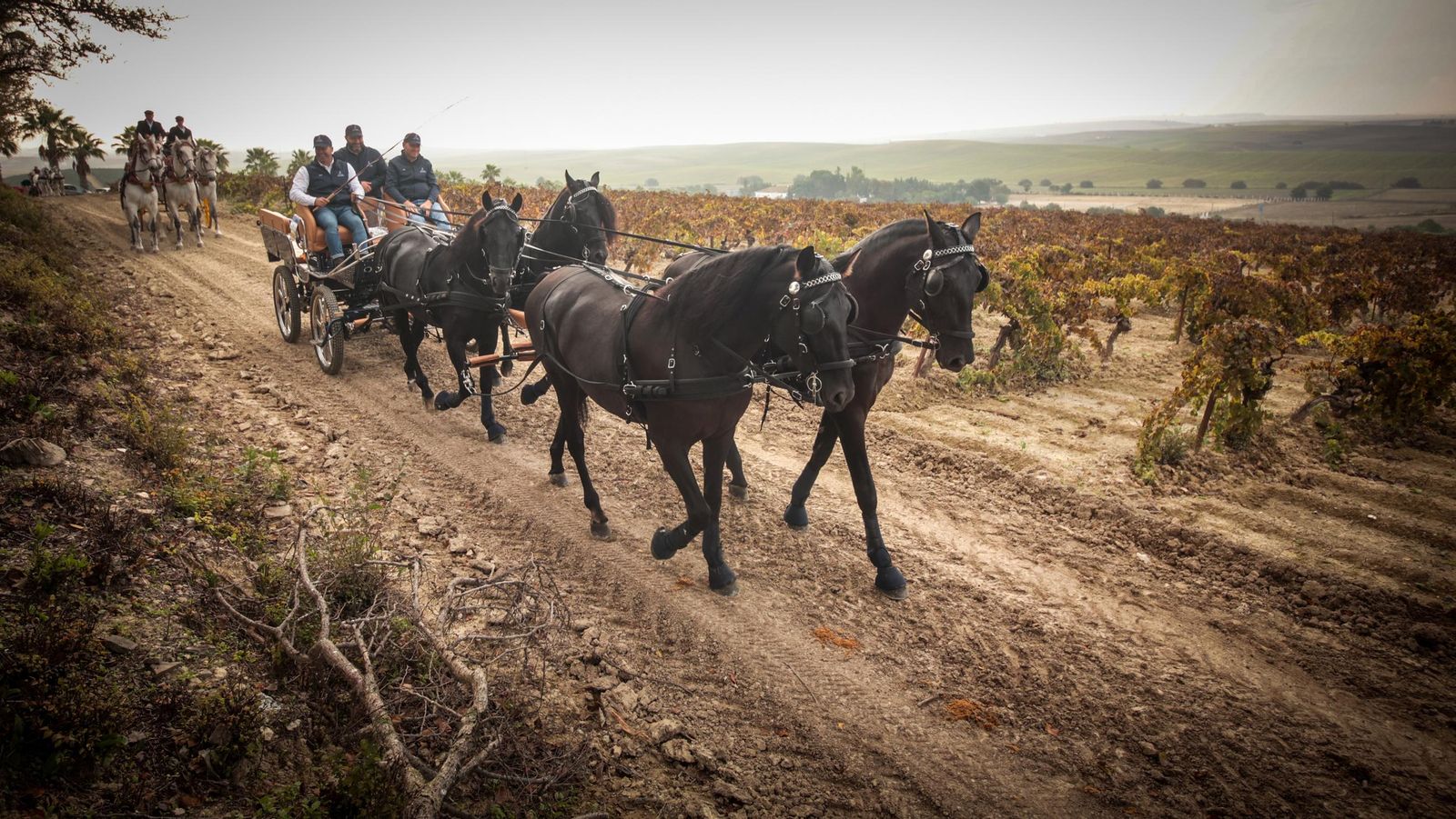 Búscate en la III Ruta Viñas de Jerez de Enganches