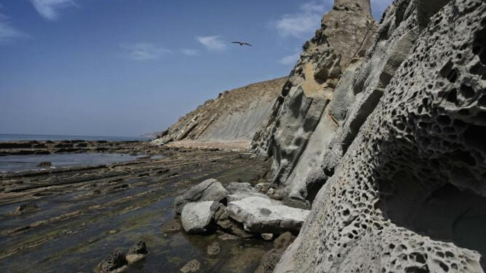 Instantánea del Parque Natural del Estrecho.