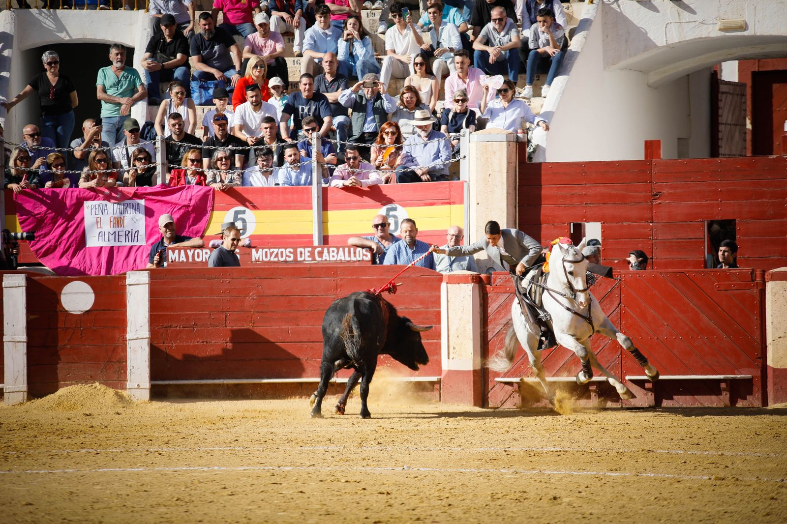 Imágenes del festival mixto lucha contra el cáncer